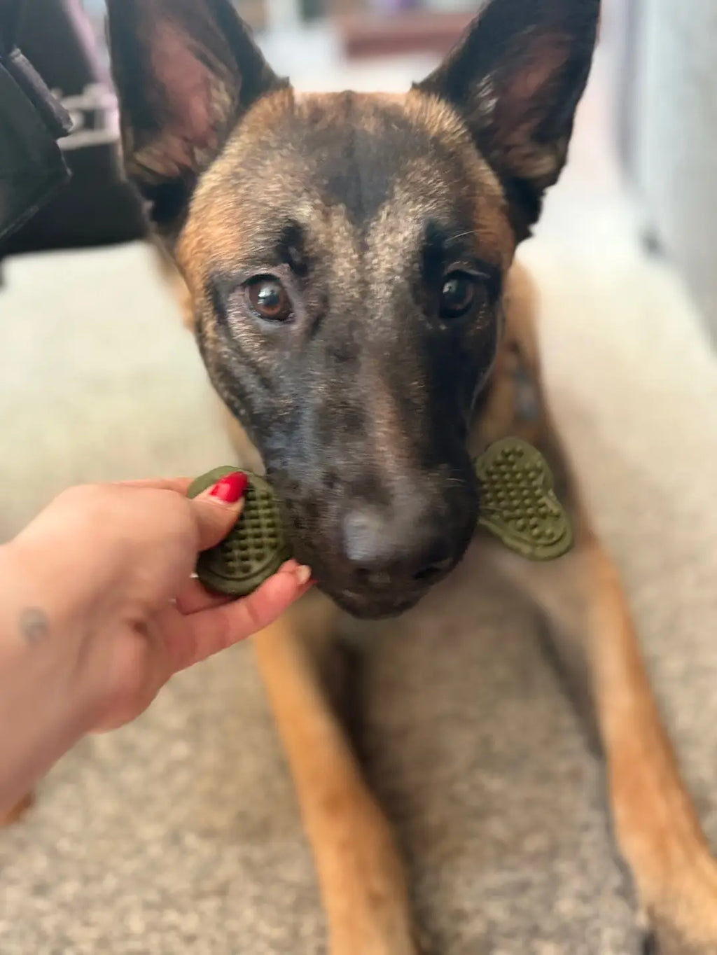 Bobble bones