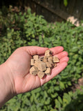 Freeze Dried Liver