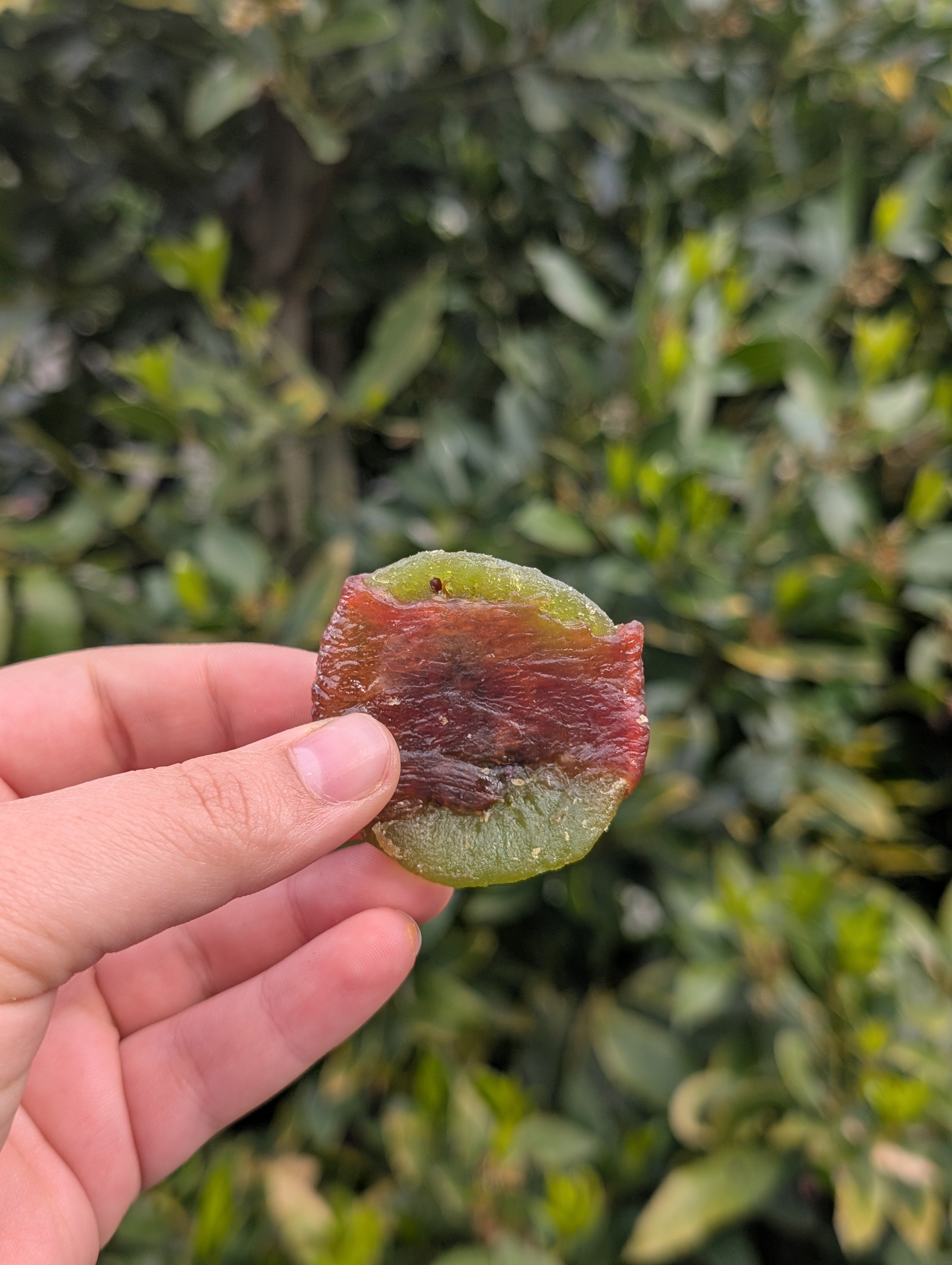 Duck Wrapped Kiwi