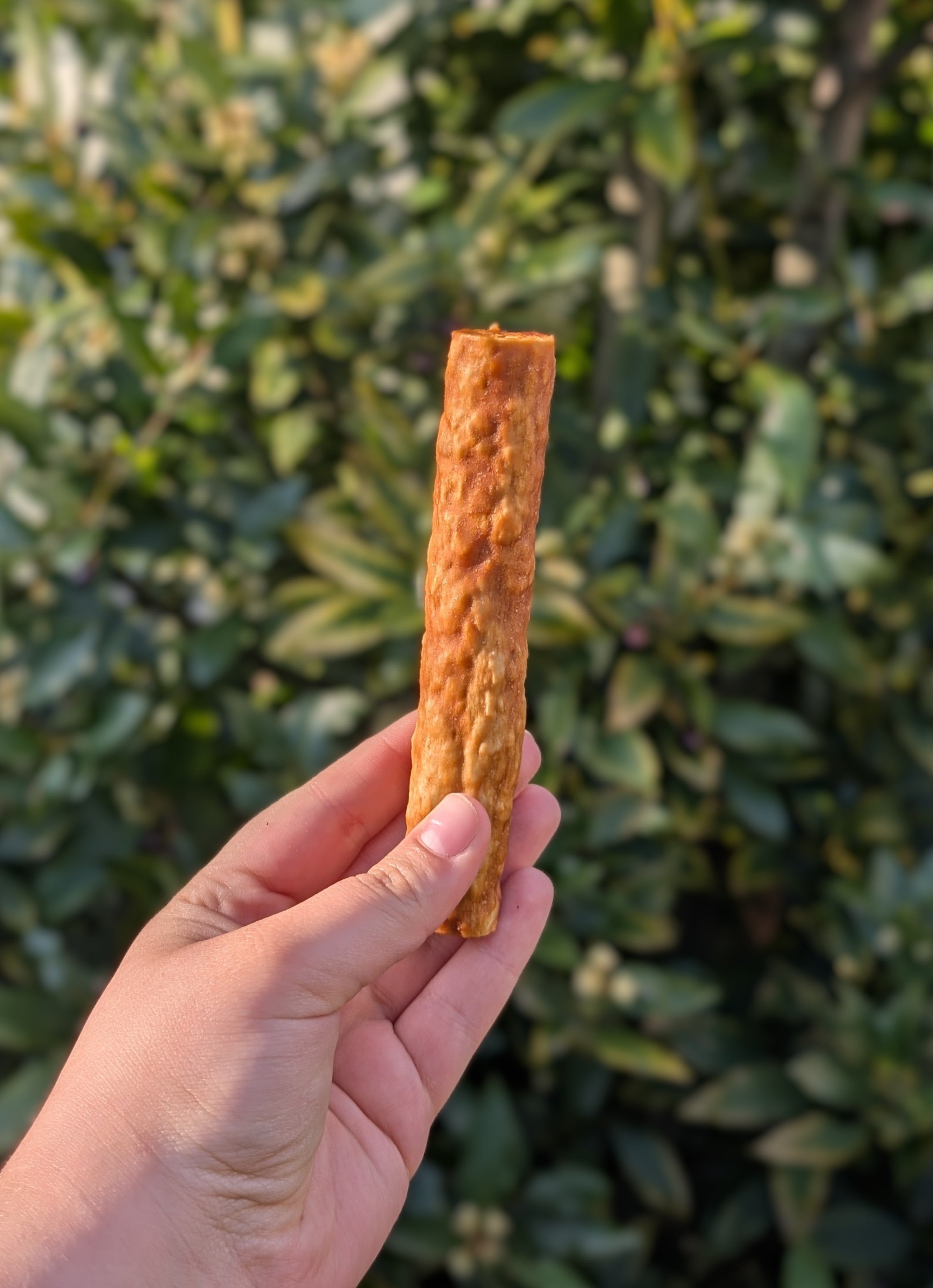 Chicken Collagen Stick