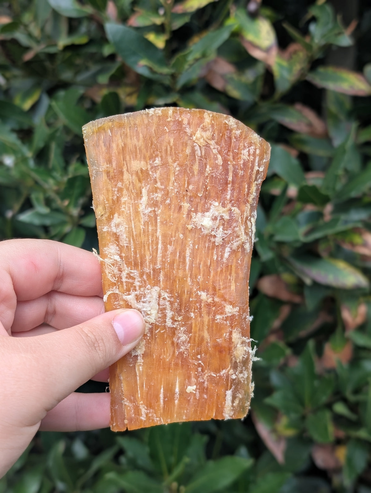 Beef Paddywhack