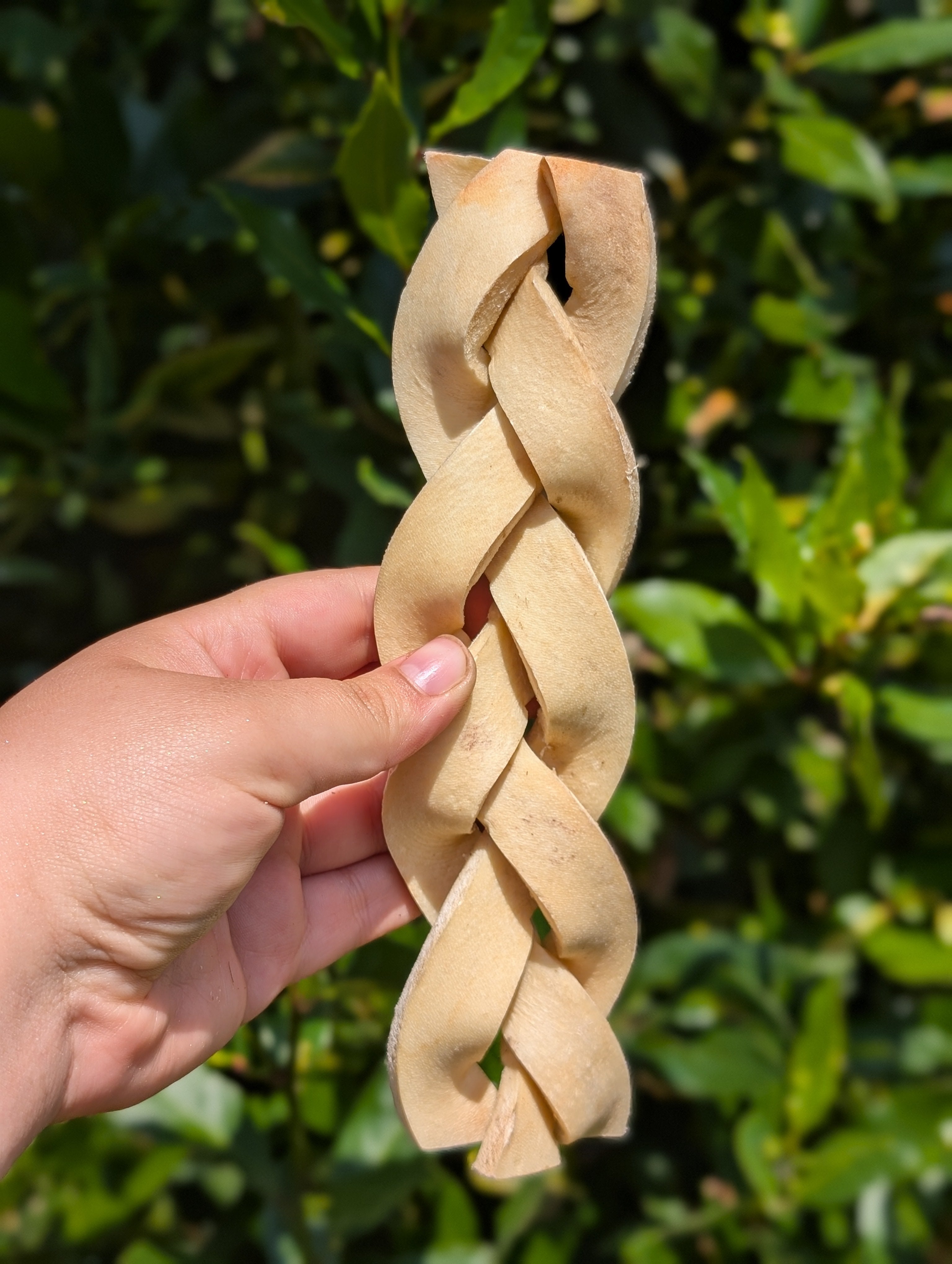 Coconut Beef Skin Braid