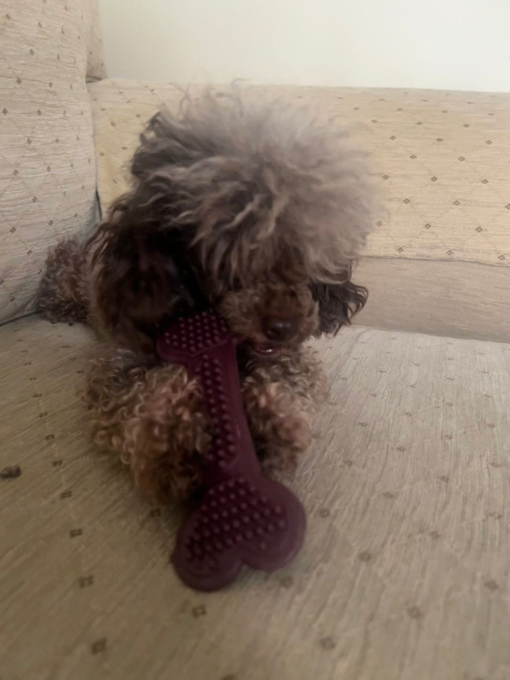 Bobble bones