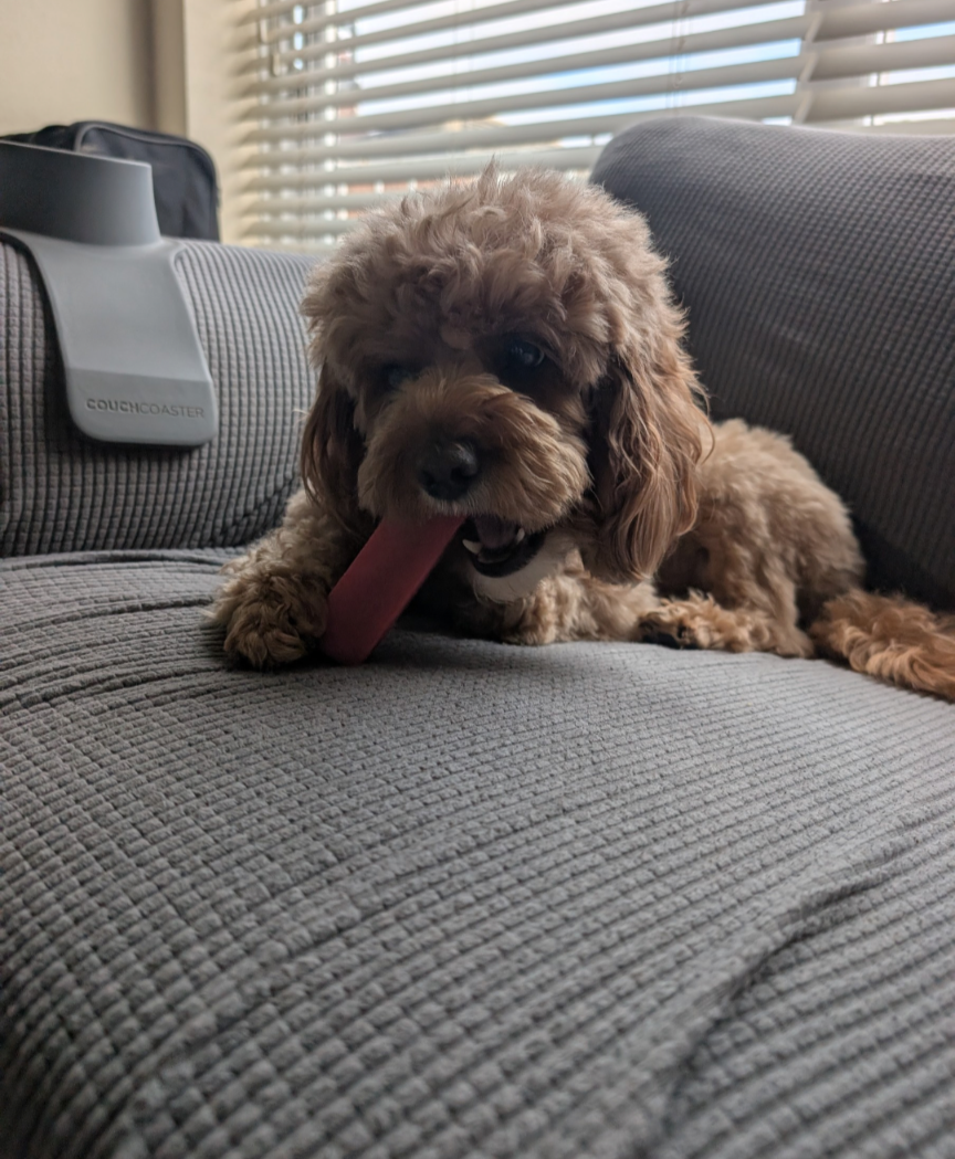 Strawberry Yak Chew