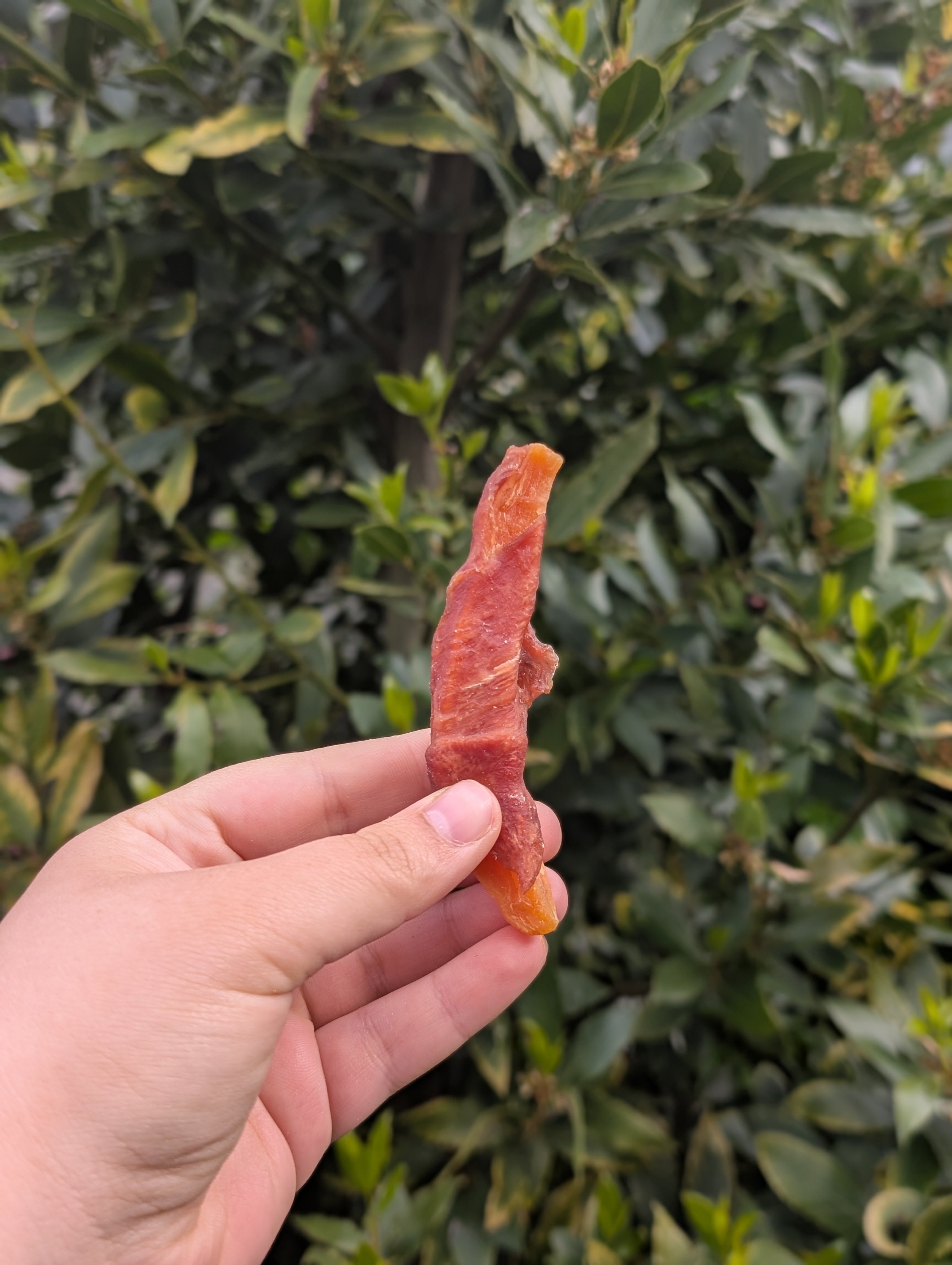 Duck Wrapped Sweet Potato