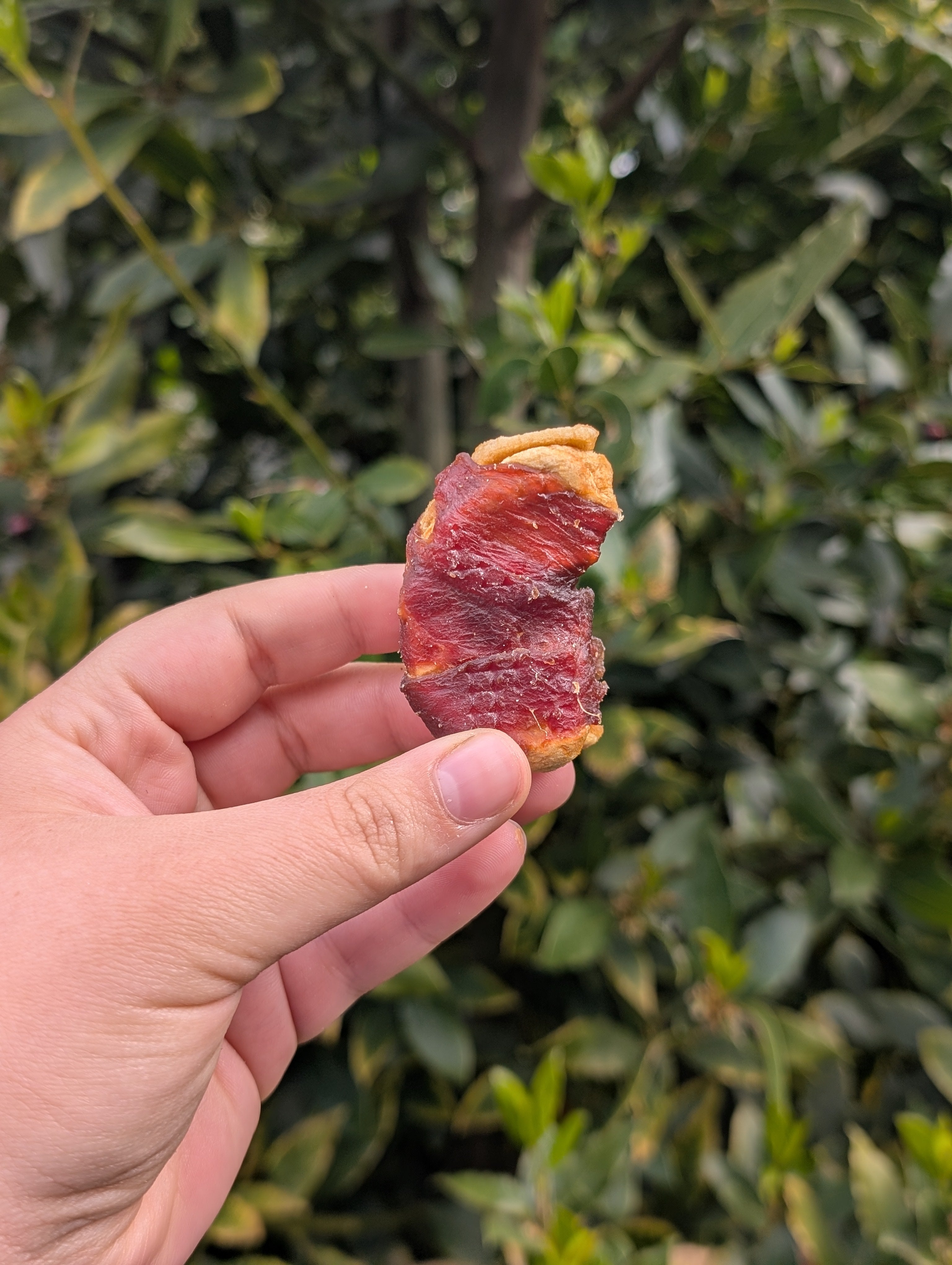 Duck Wrapped Apple