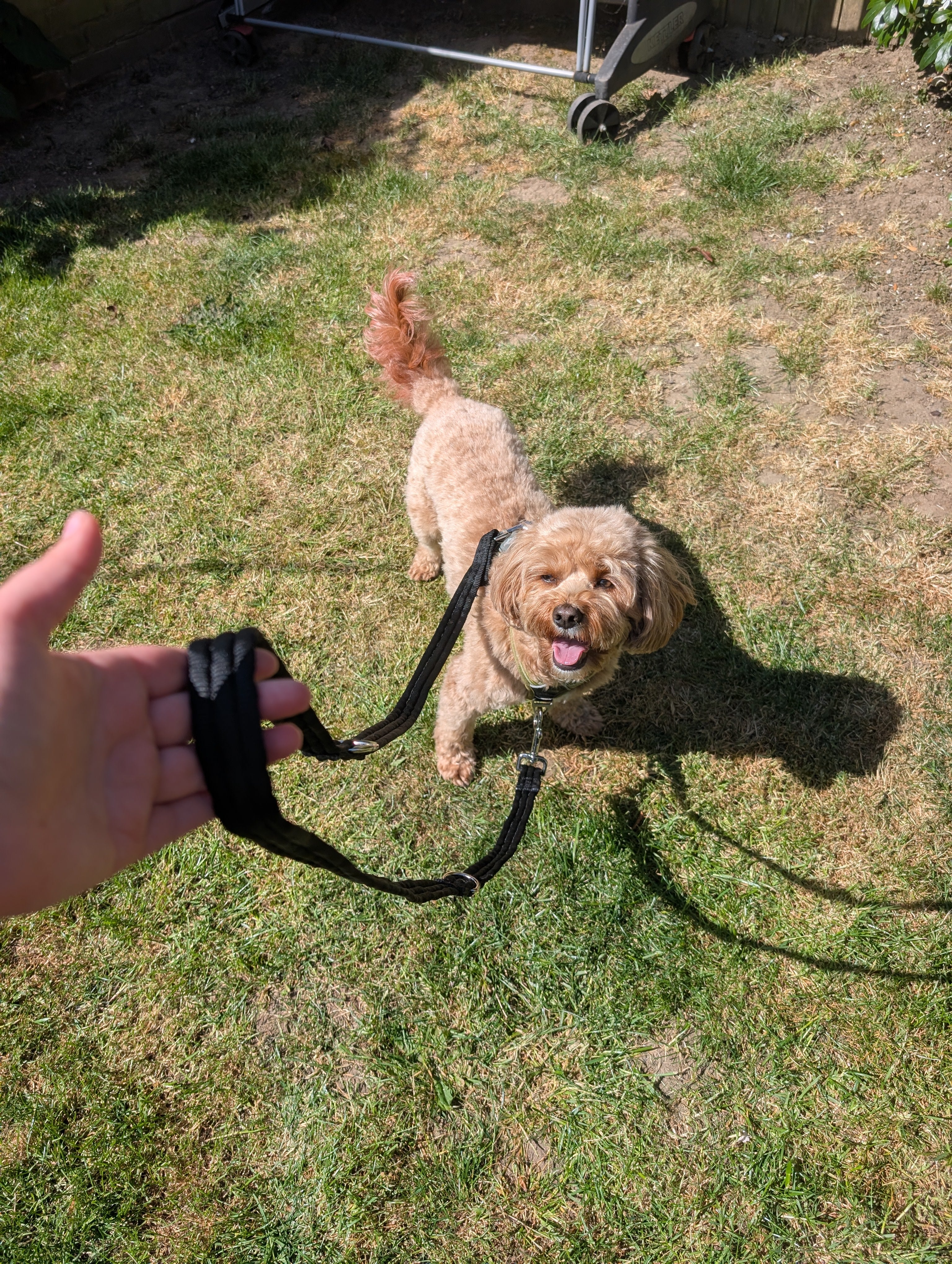 Double ended training lead