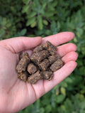 Venison bites
