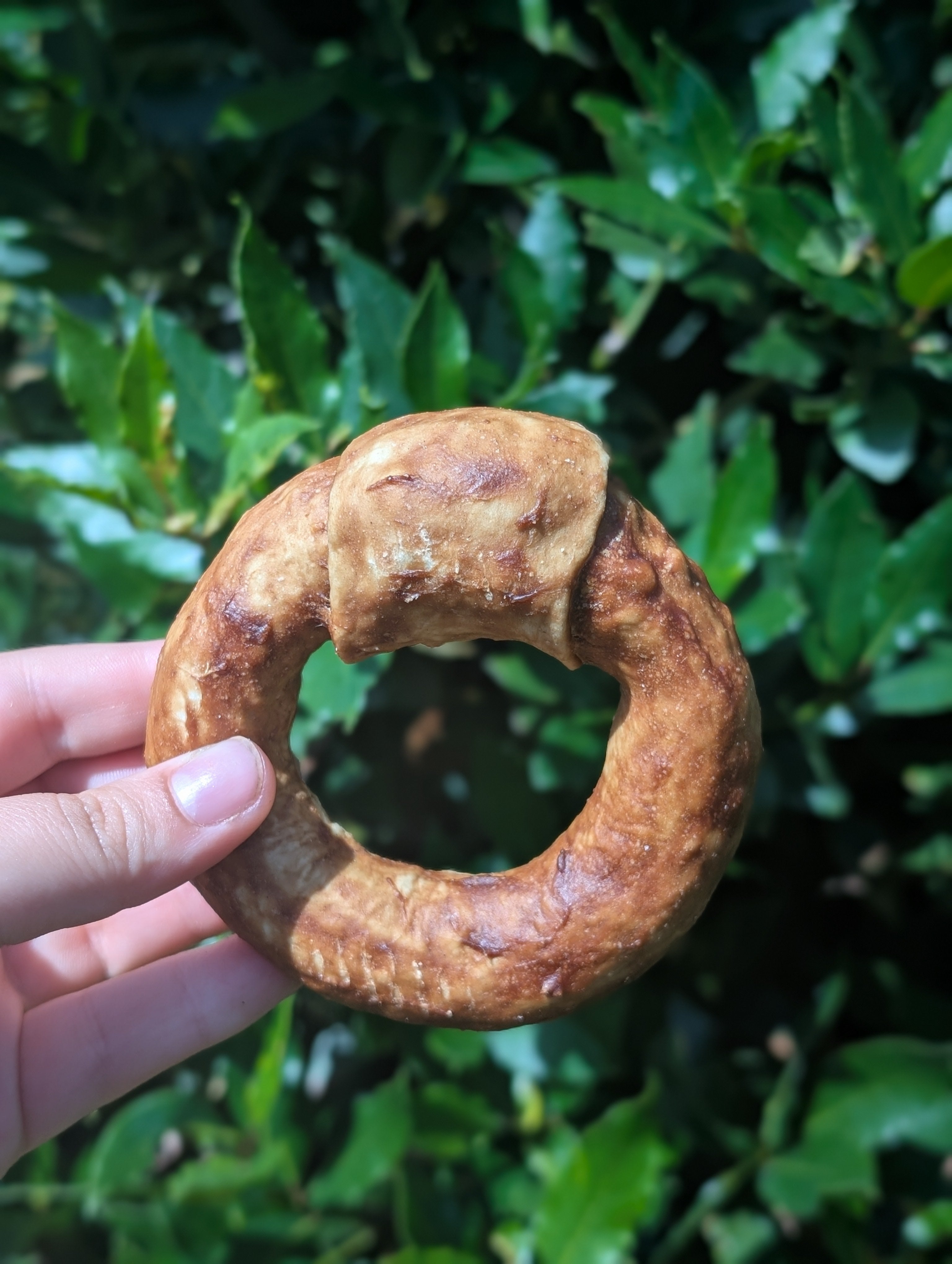 Beef Collagen Donut