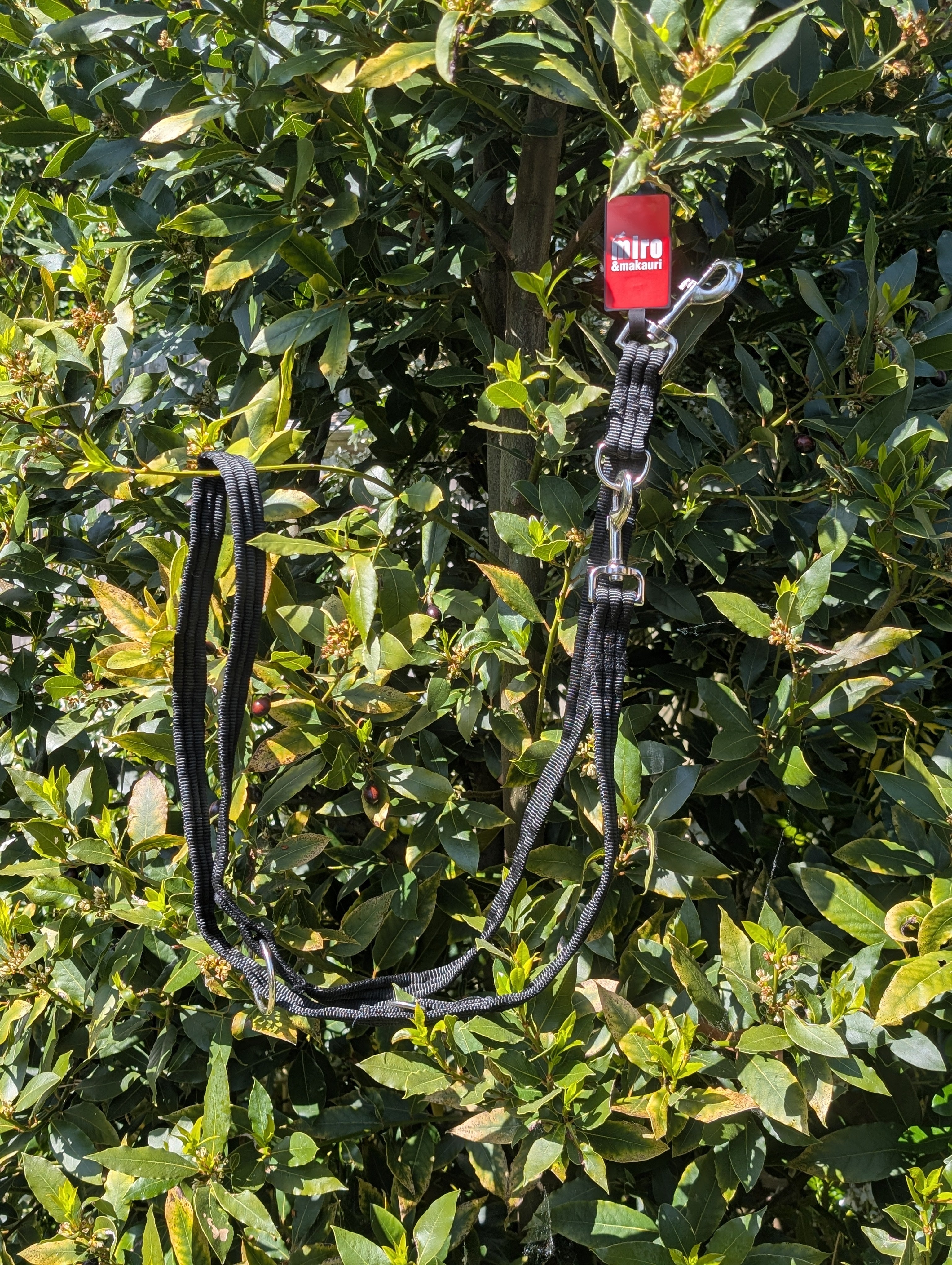 Double ended training lead