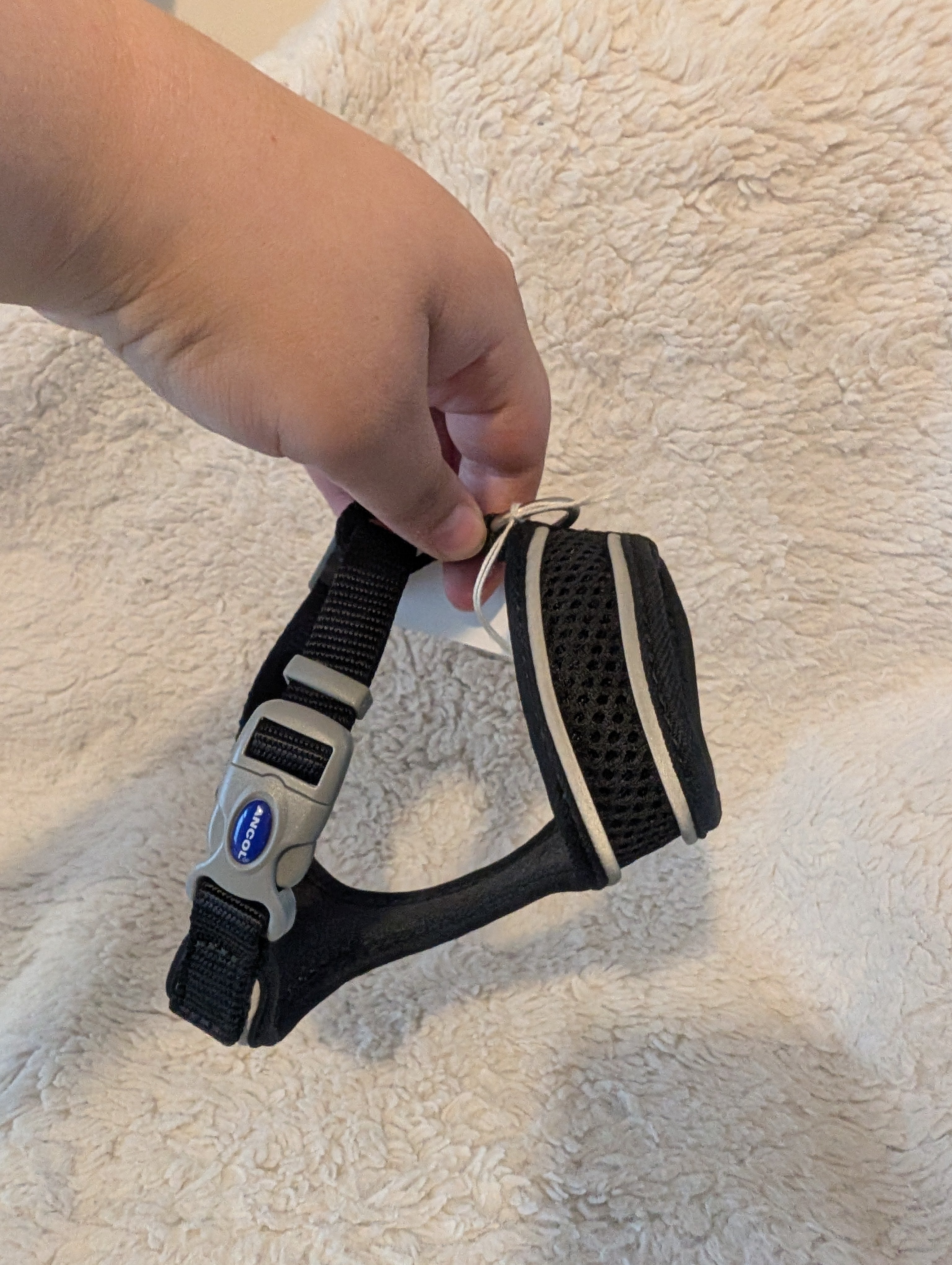 Puppy Harnesses
