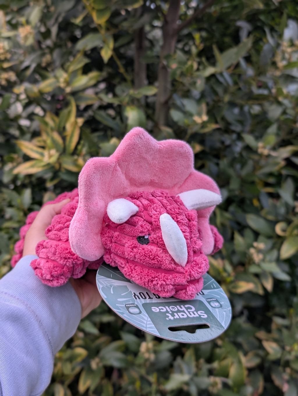 Terry The Triceratops