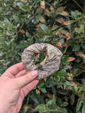 Fish Skin