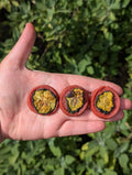 Duck And Cucumber Coins