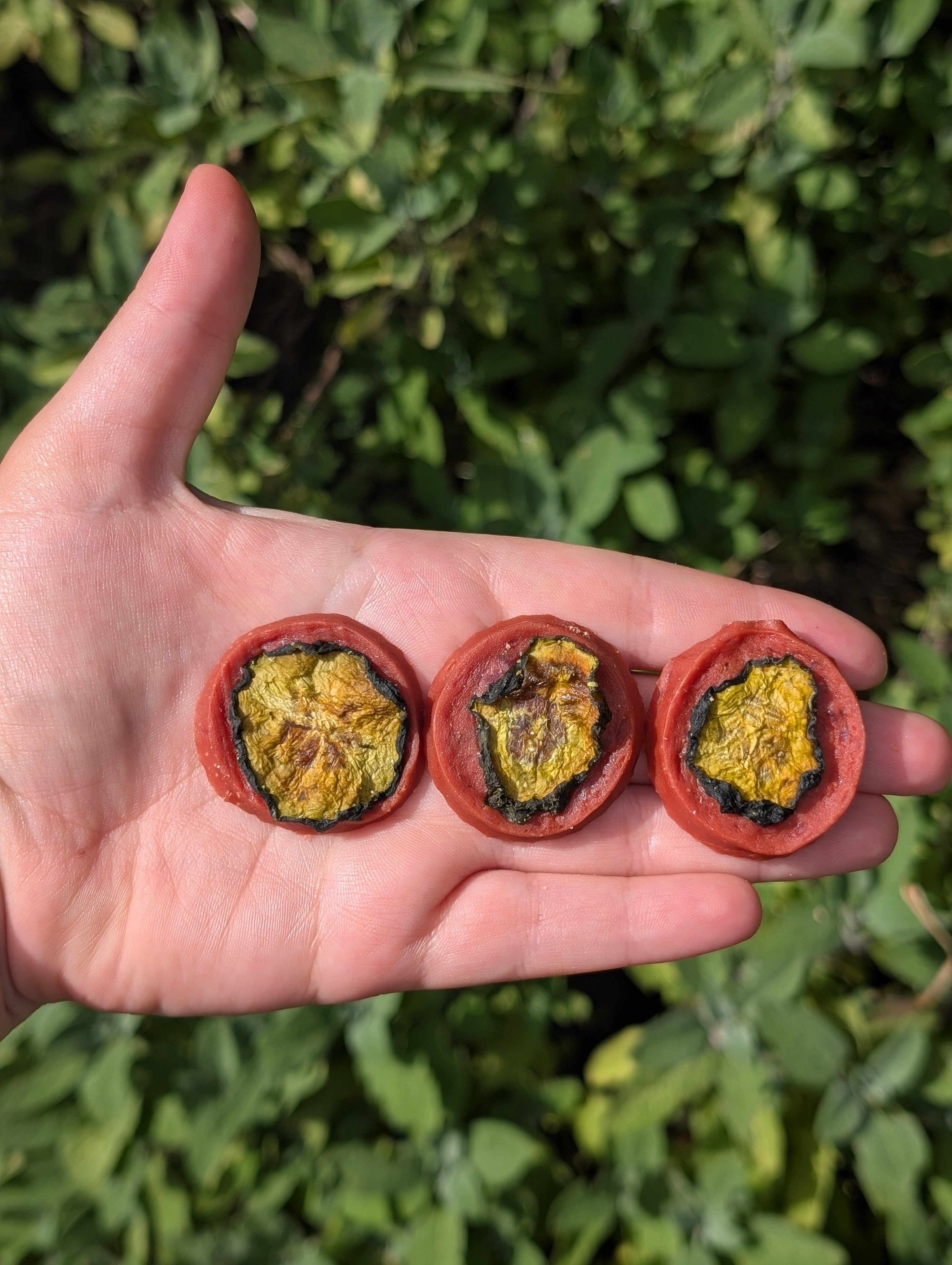 Duck And Cucumber Coins