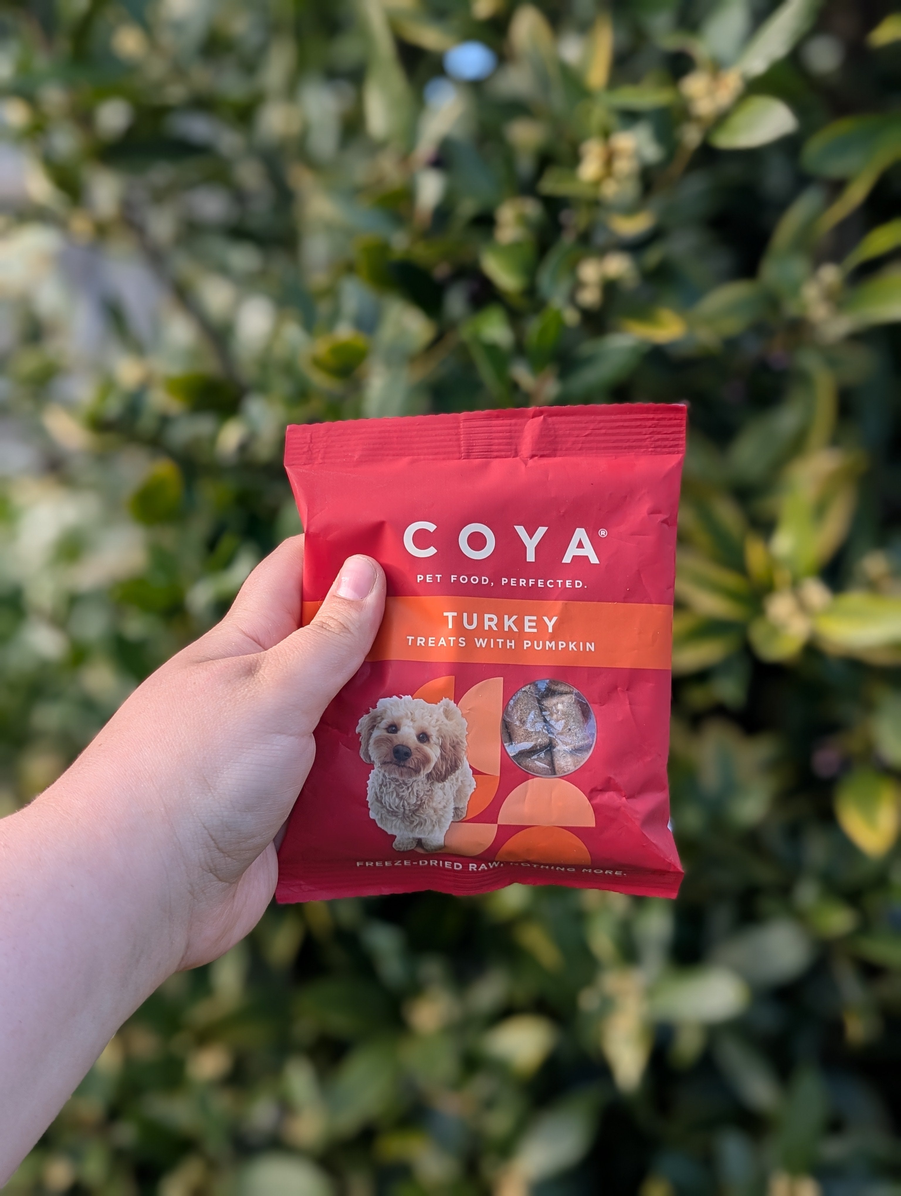 Freeze Dried Coya Treats