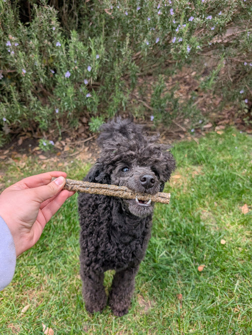 Cod Stick