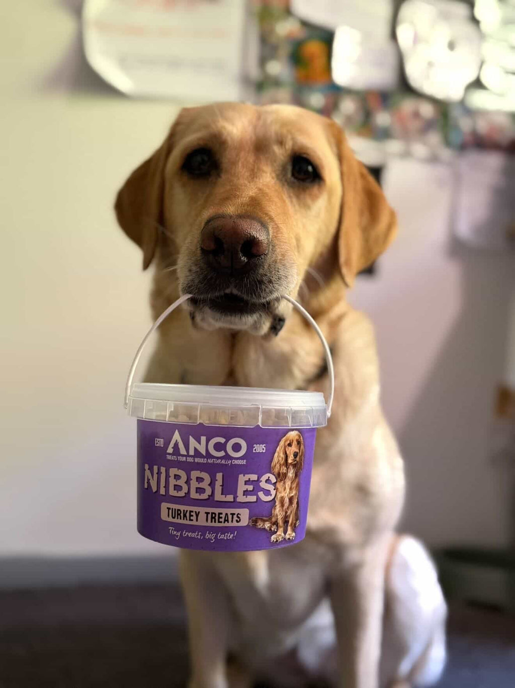 Anco Nibbles