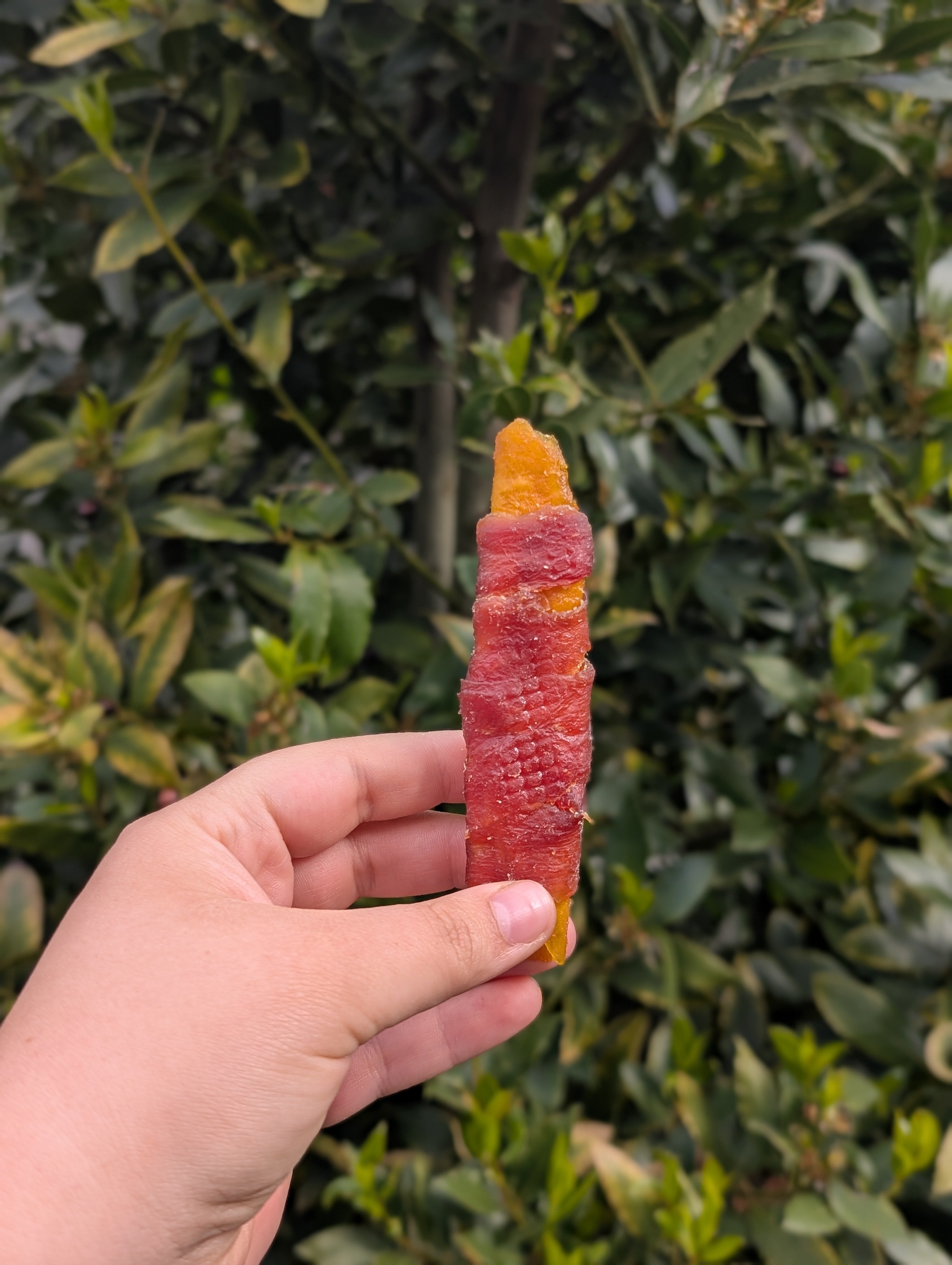 Duck Wrapped Mango