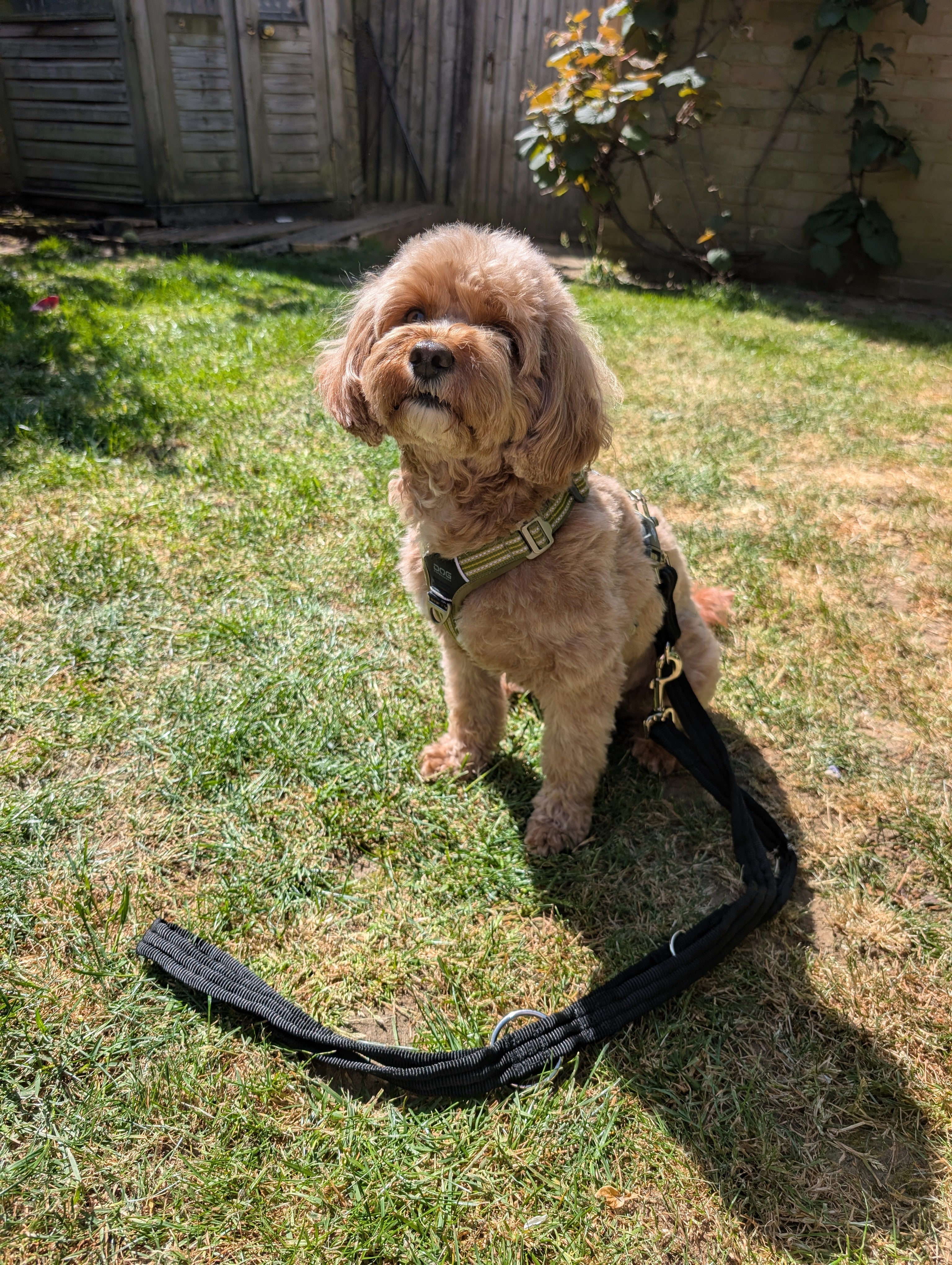 Double ended training lead