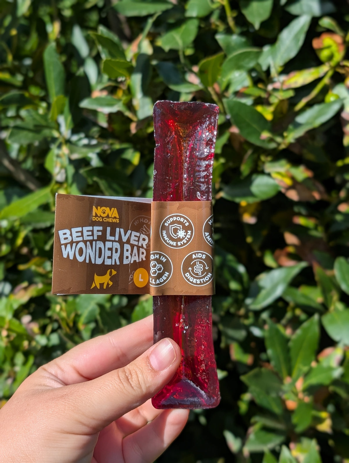 Wander Bars