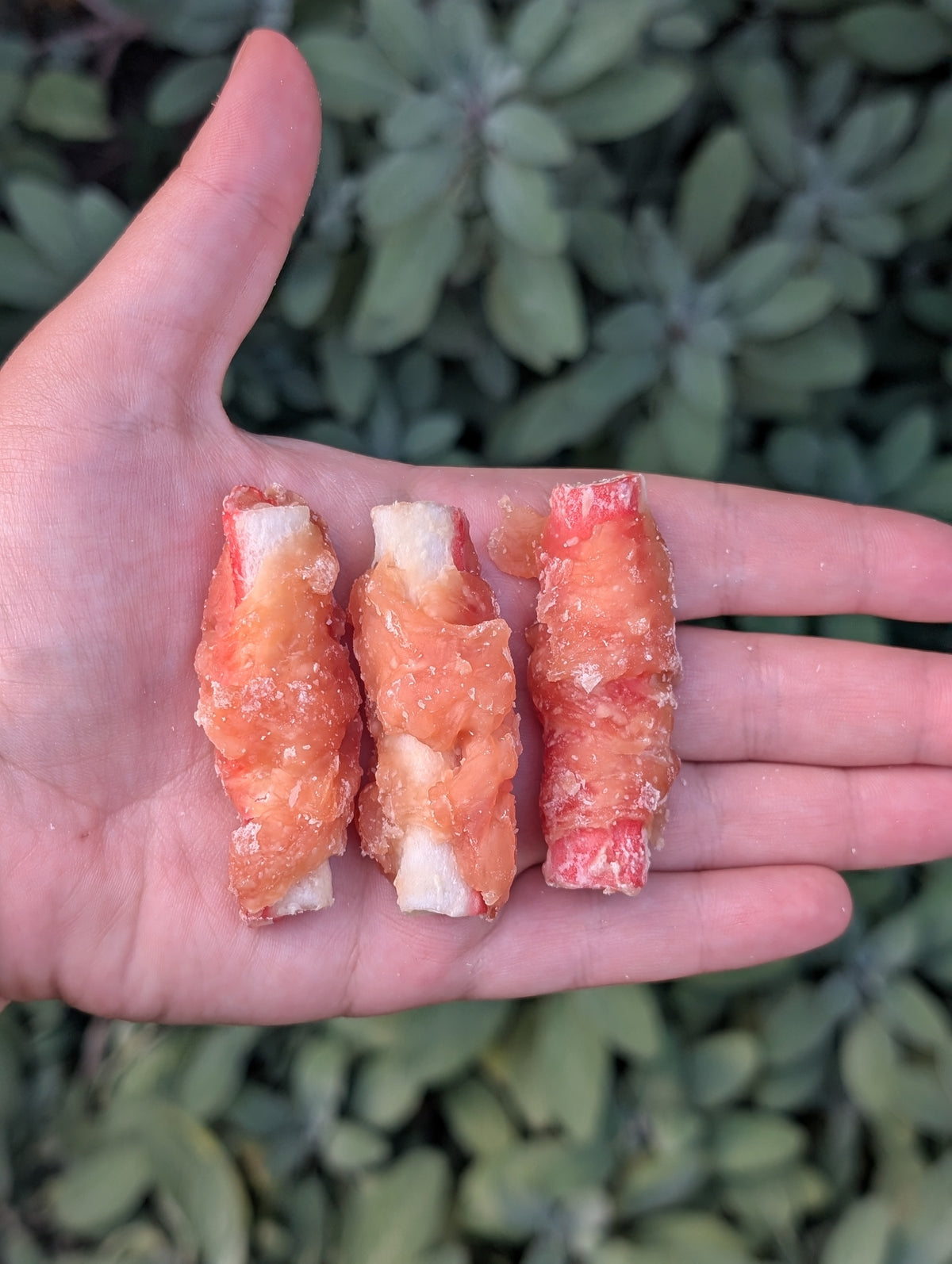 Soft Treats
