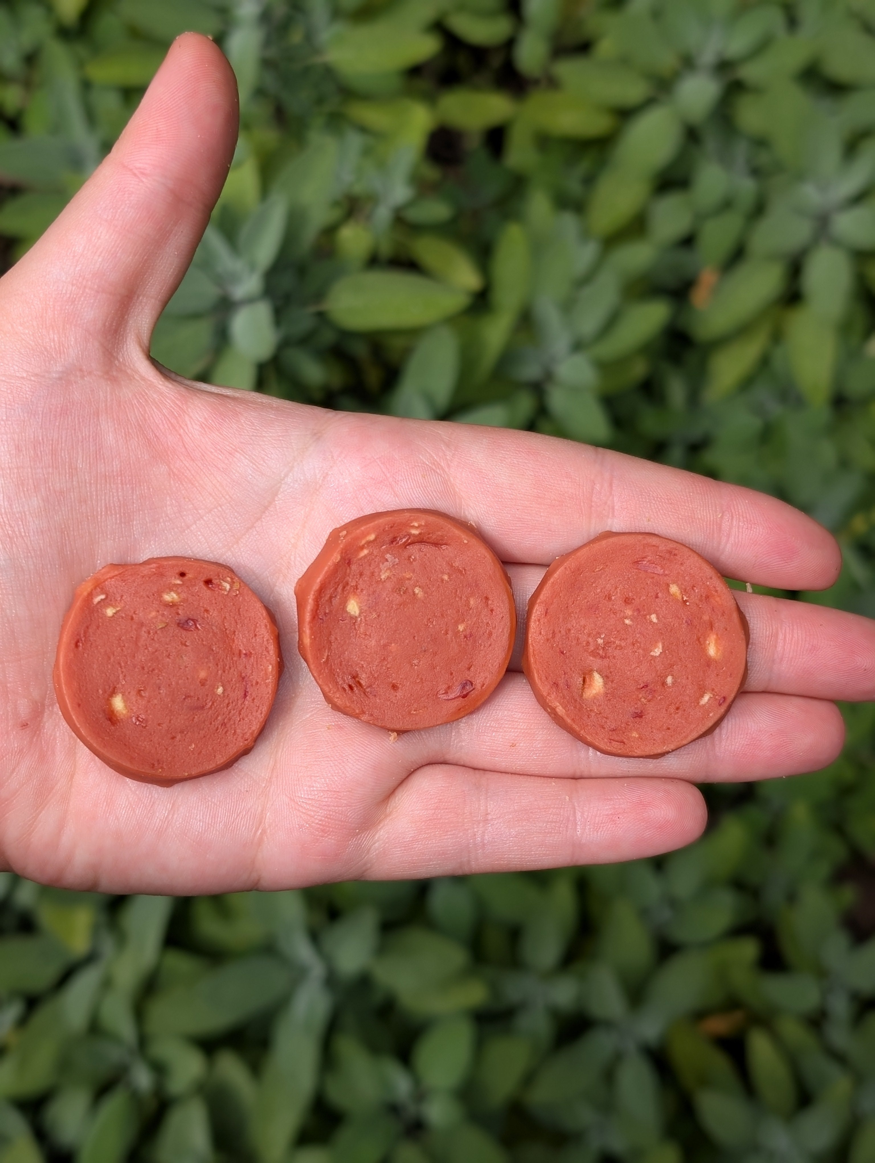 Duck and Apple Coins