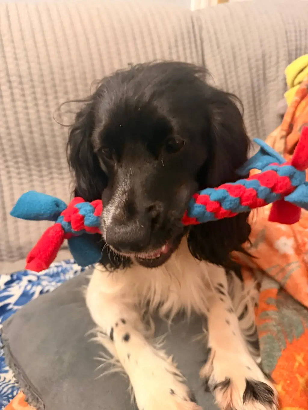 Handmade fleece toys
