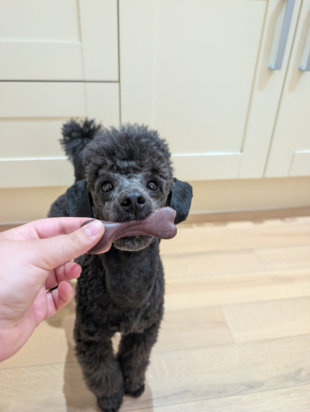 Mini veggie bones