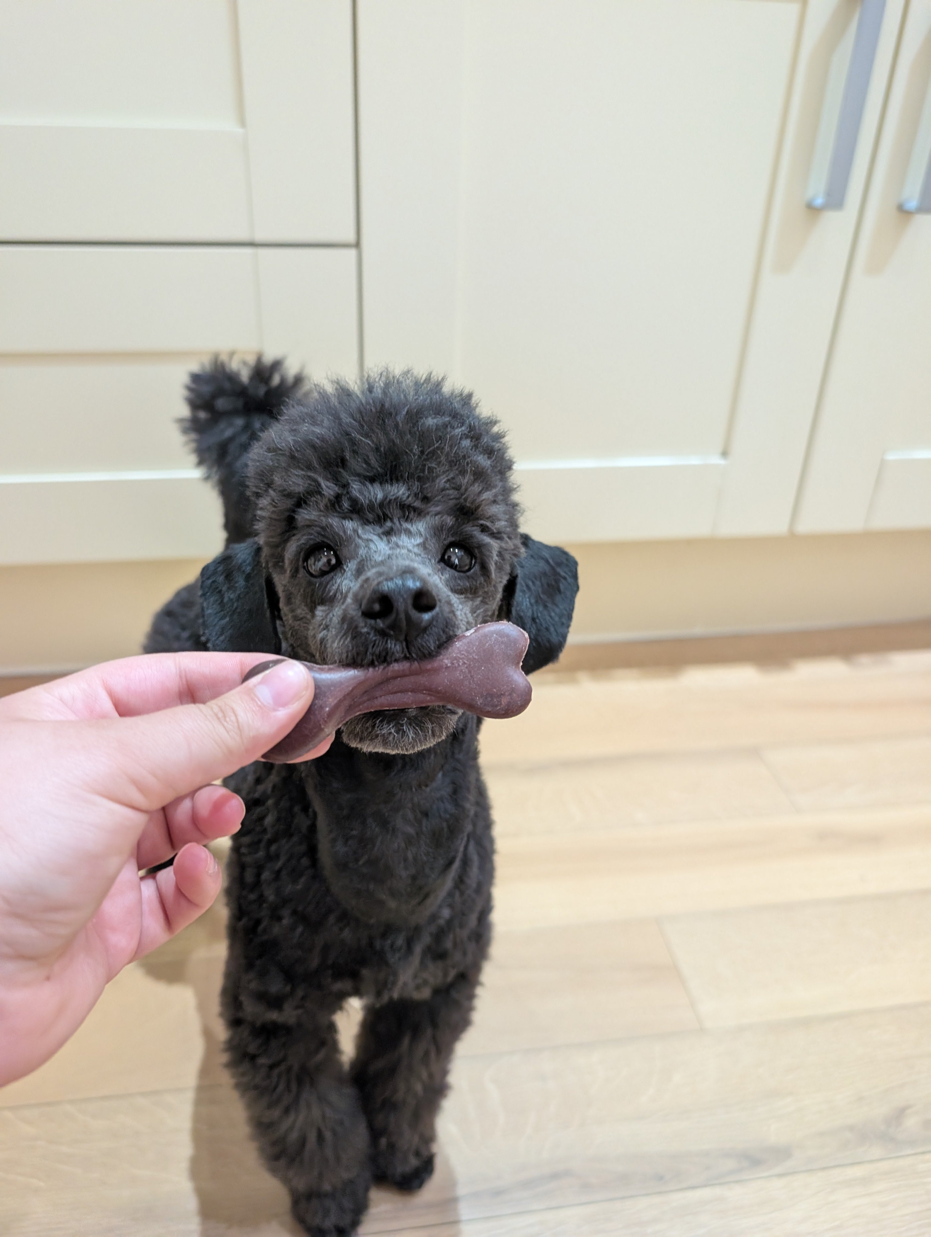 Mini veggie bones
