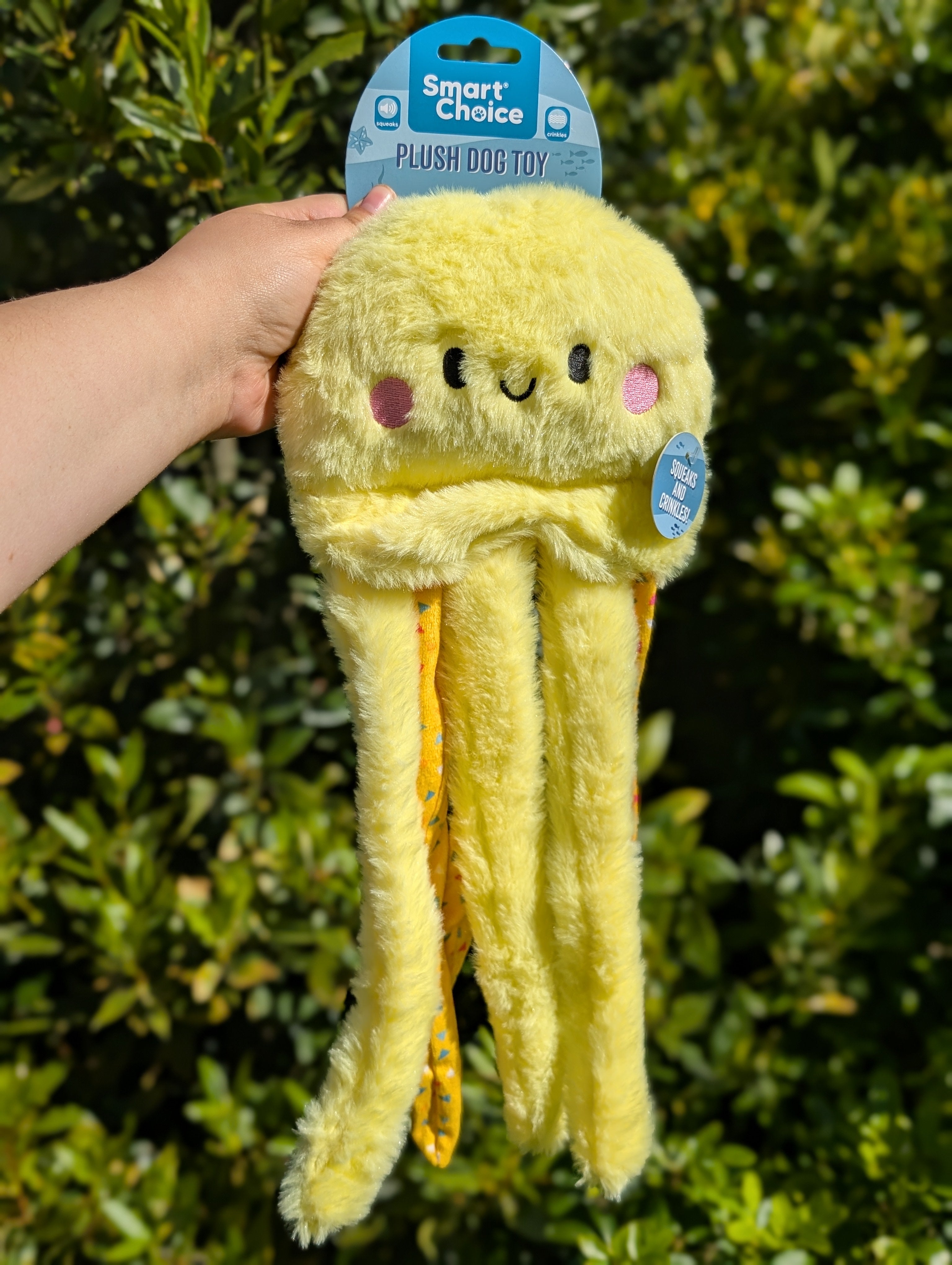 Orla The Octopus
