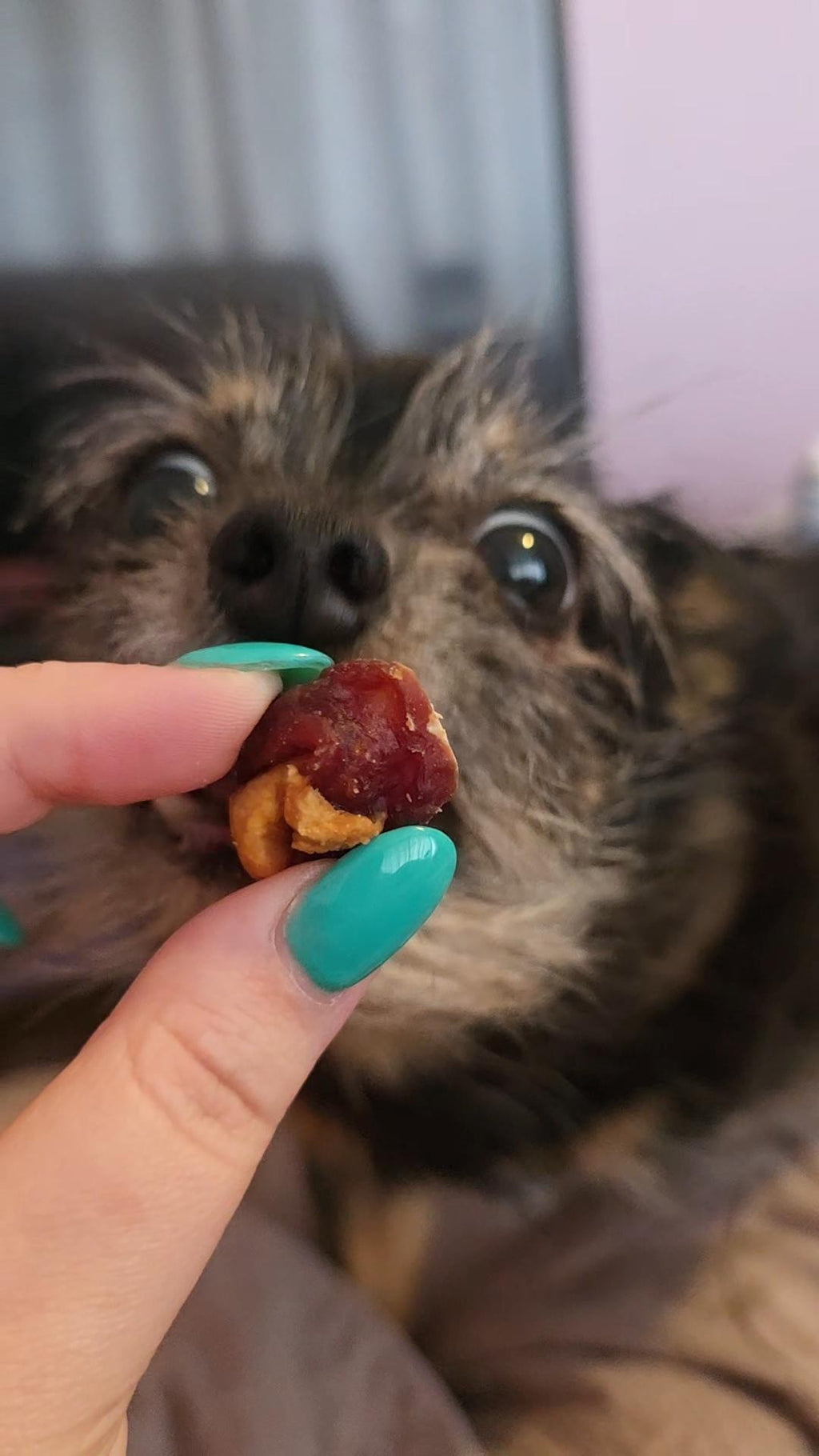 Duck Wrapped Apple