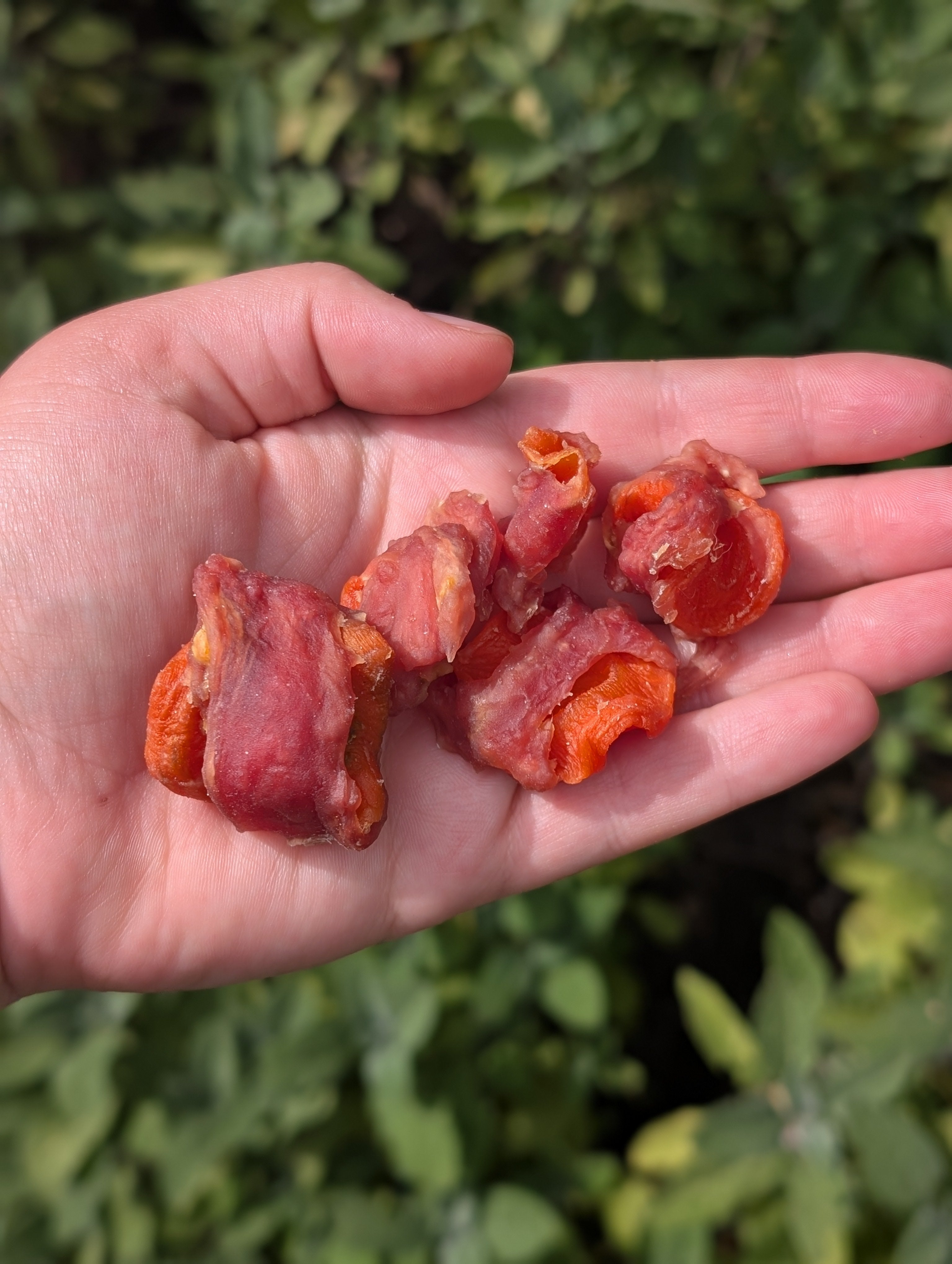 Duck Wrapped Carrot