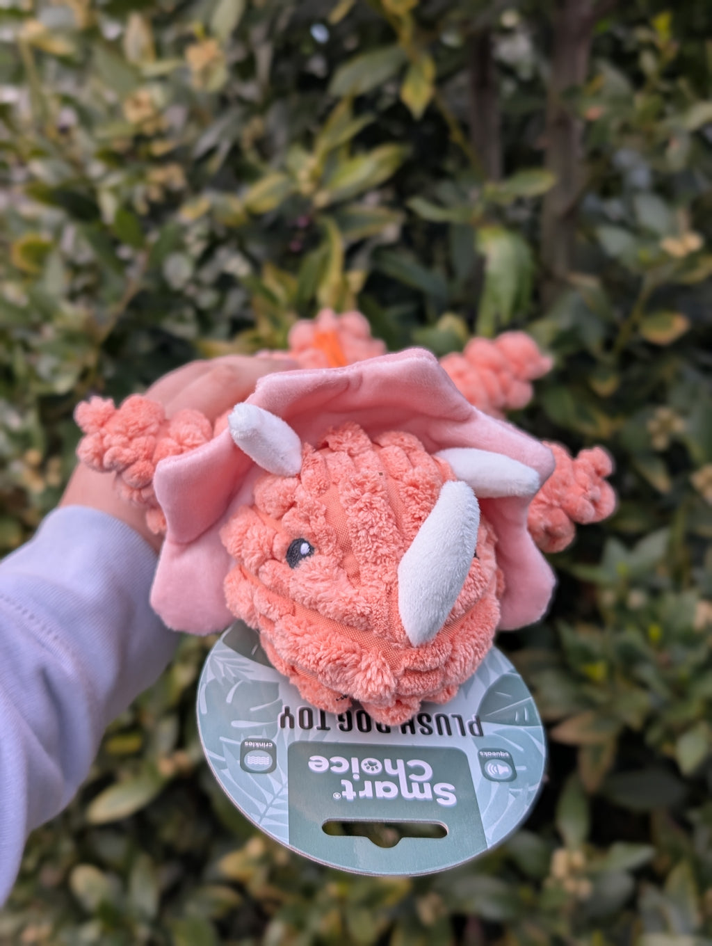 Terry The Triceratops