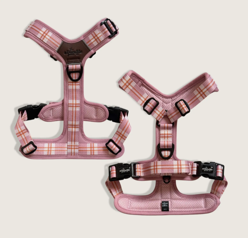 Pink Harness