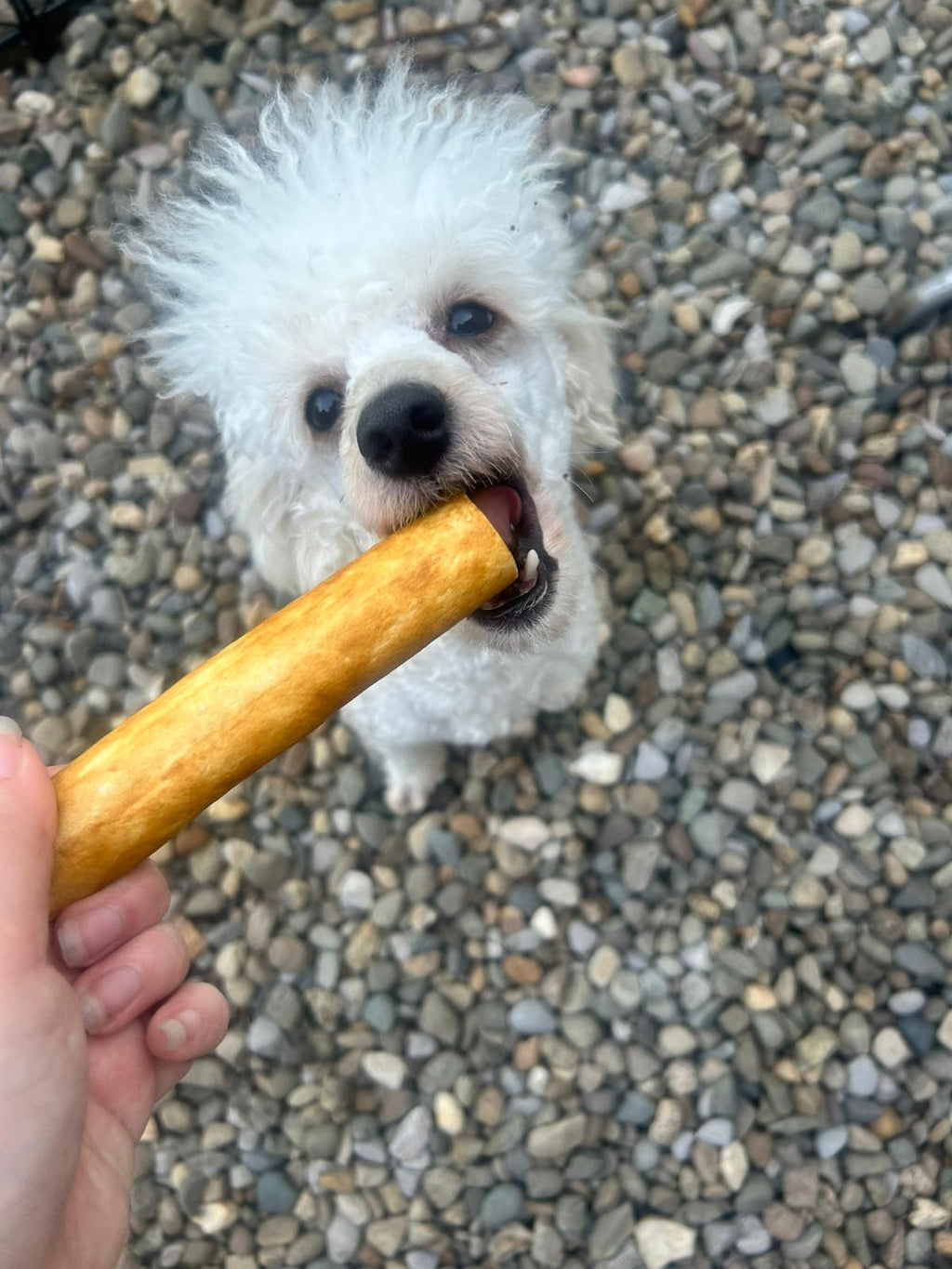 Chicken Collagen Stick