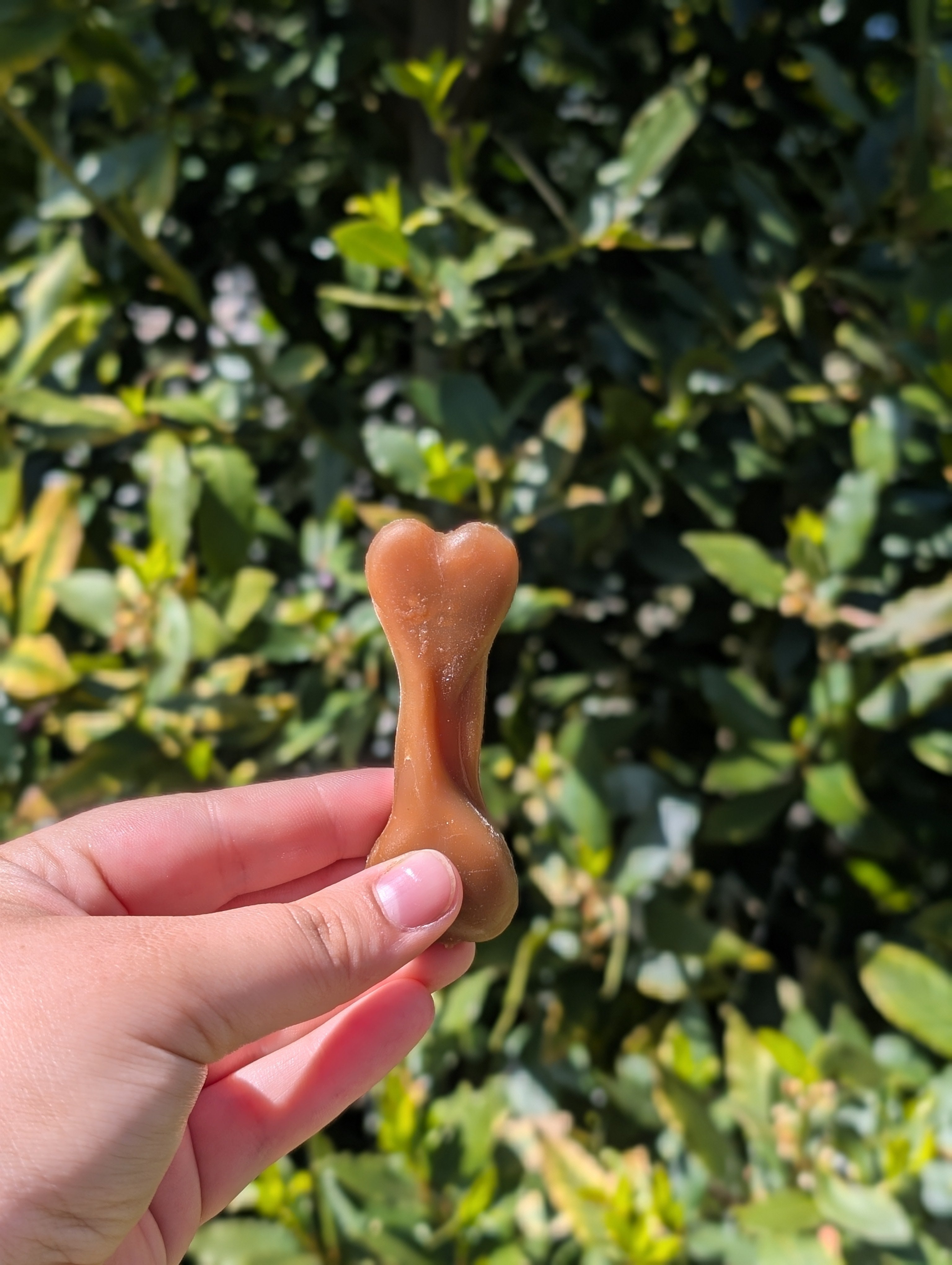Mini veggie bones
