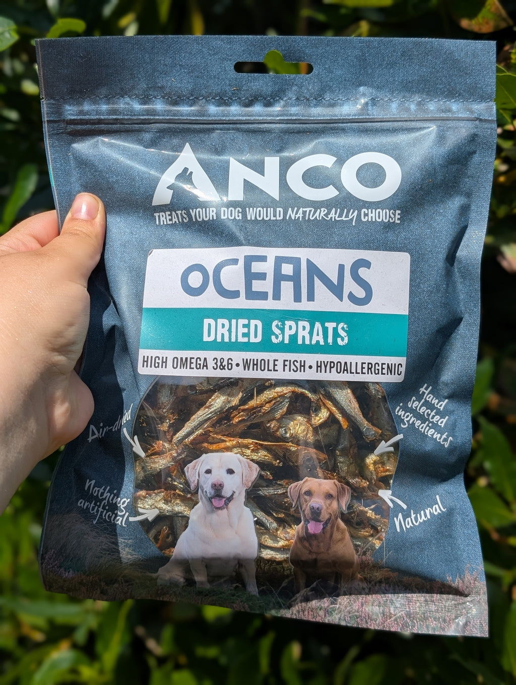 Sprats