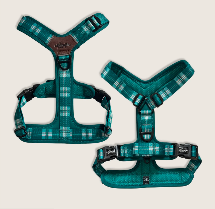 Teal Harness