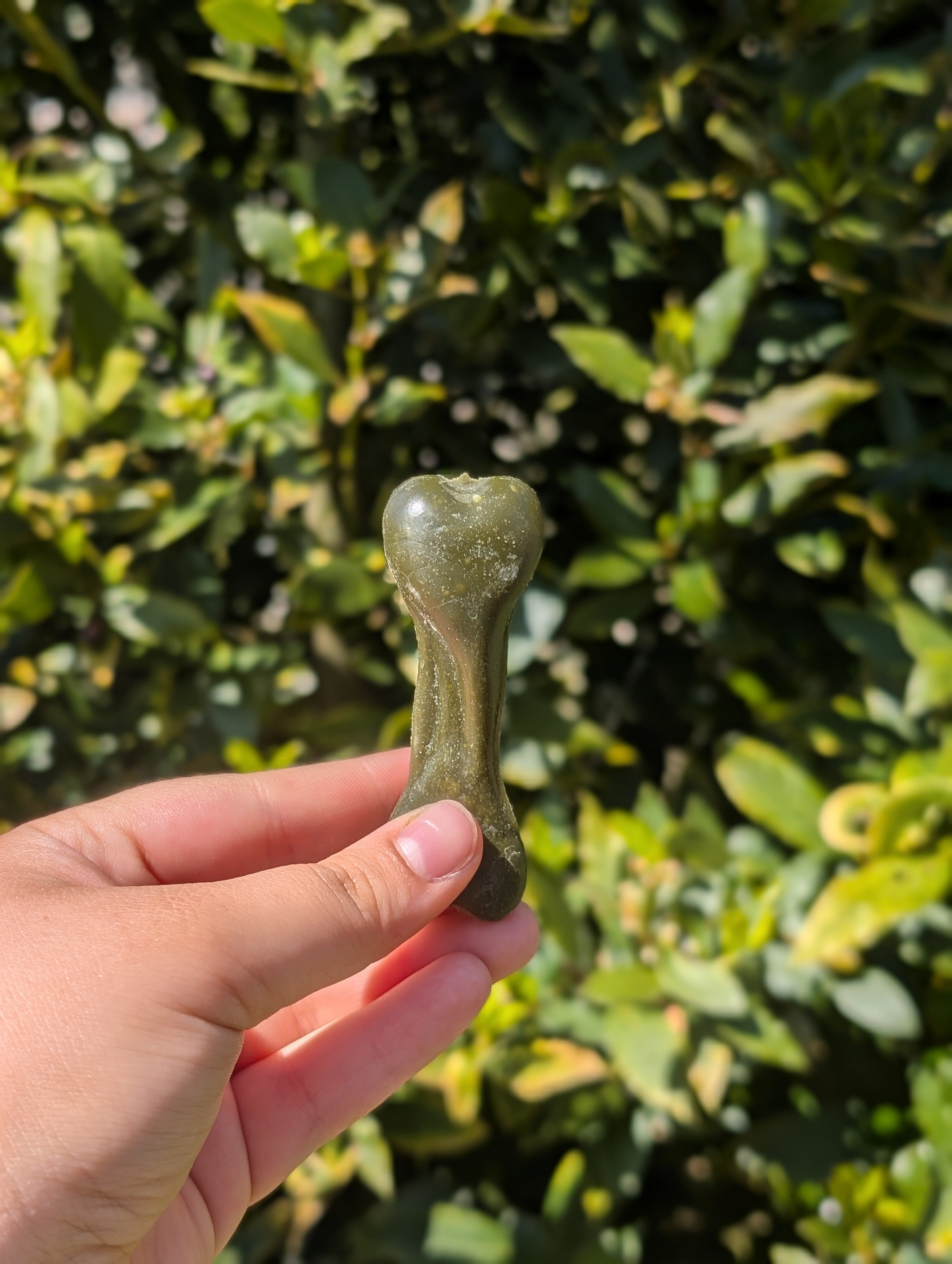 Mini veggie bones