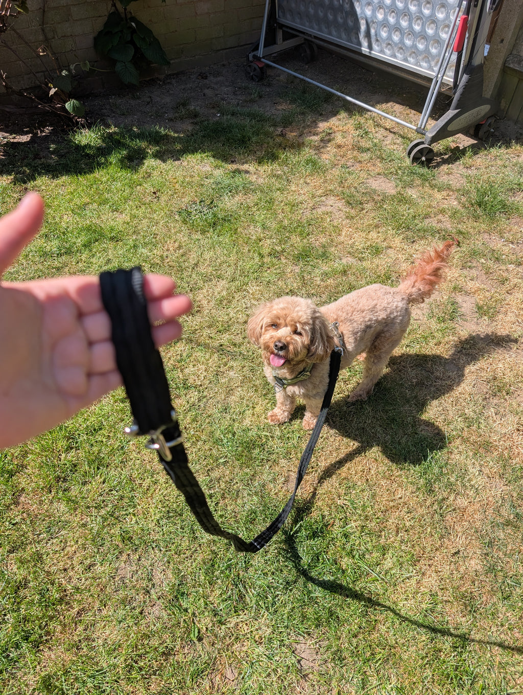 Double ended training lead