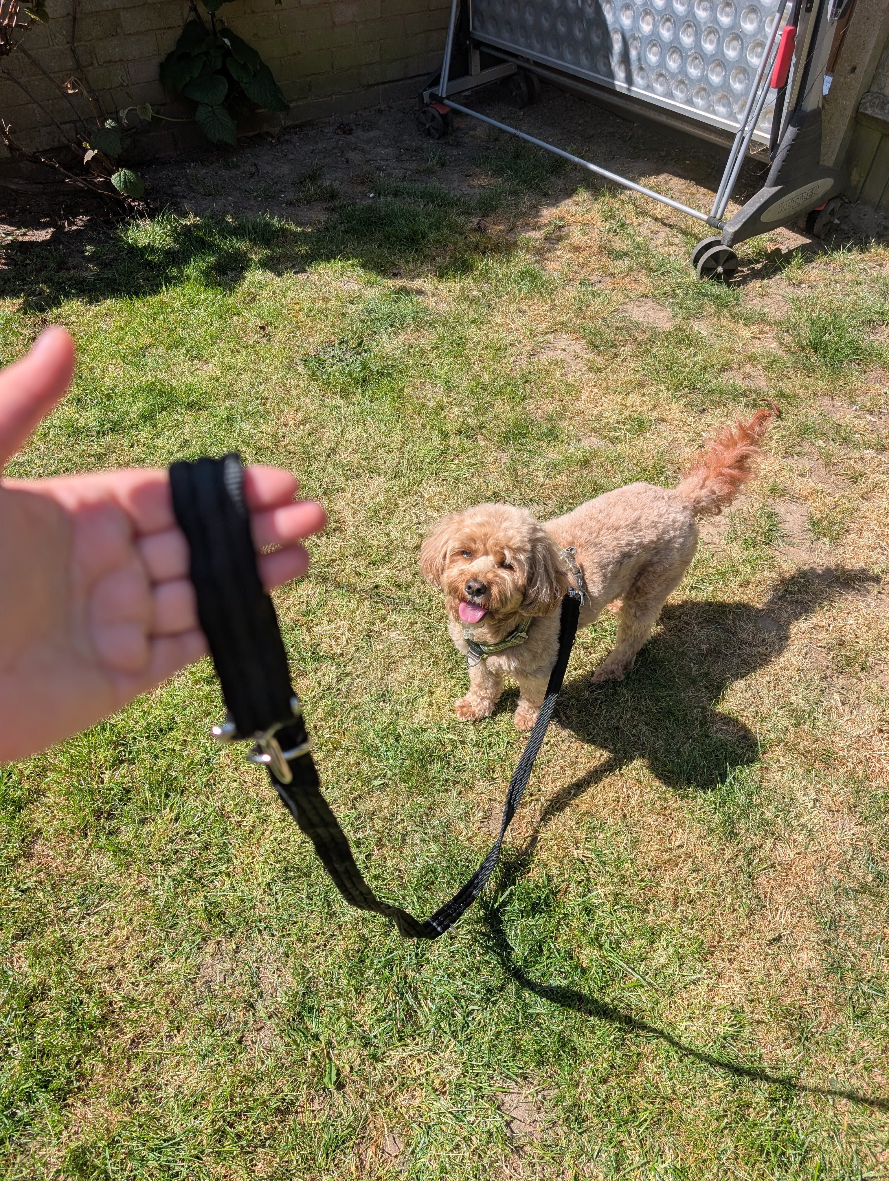 Double ended training lead