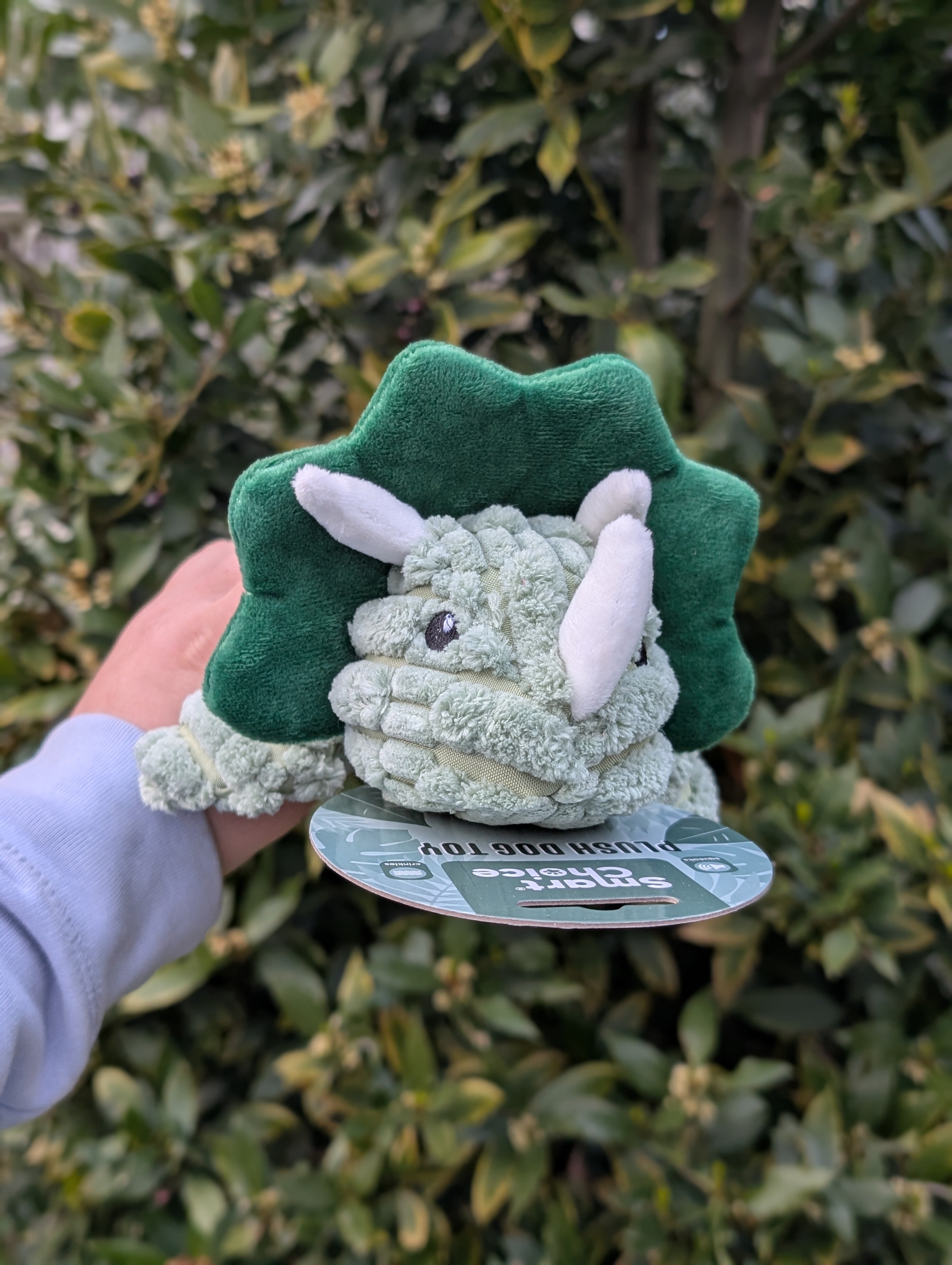 Terry The Triceratops