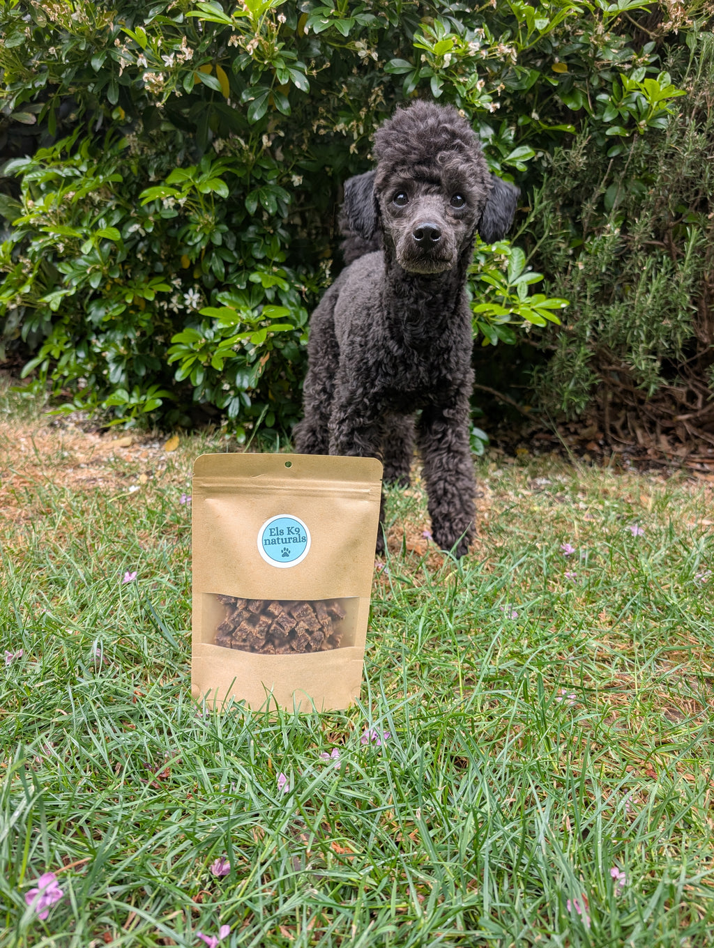 Boar Training Treats