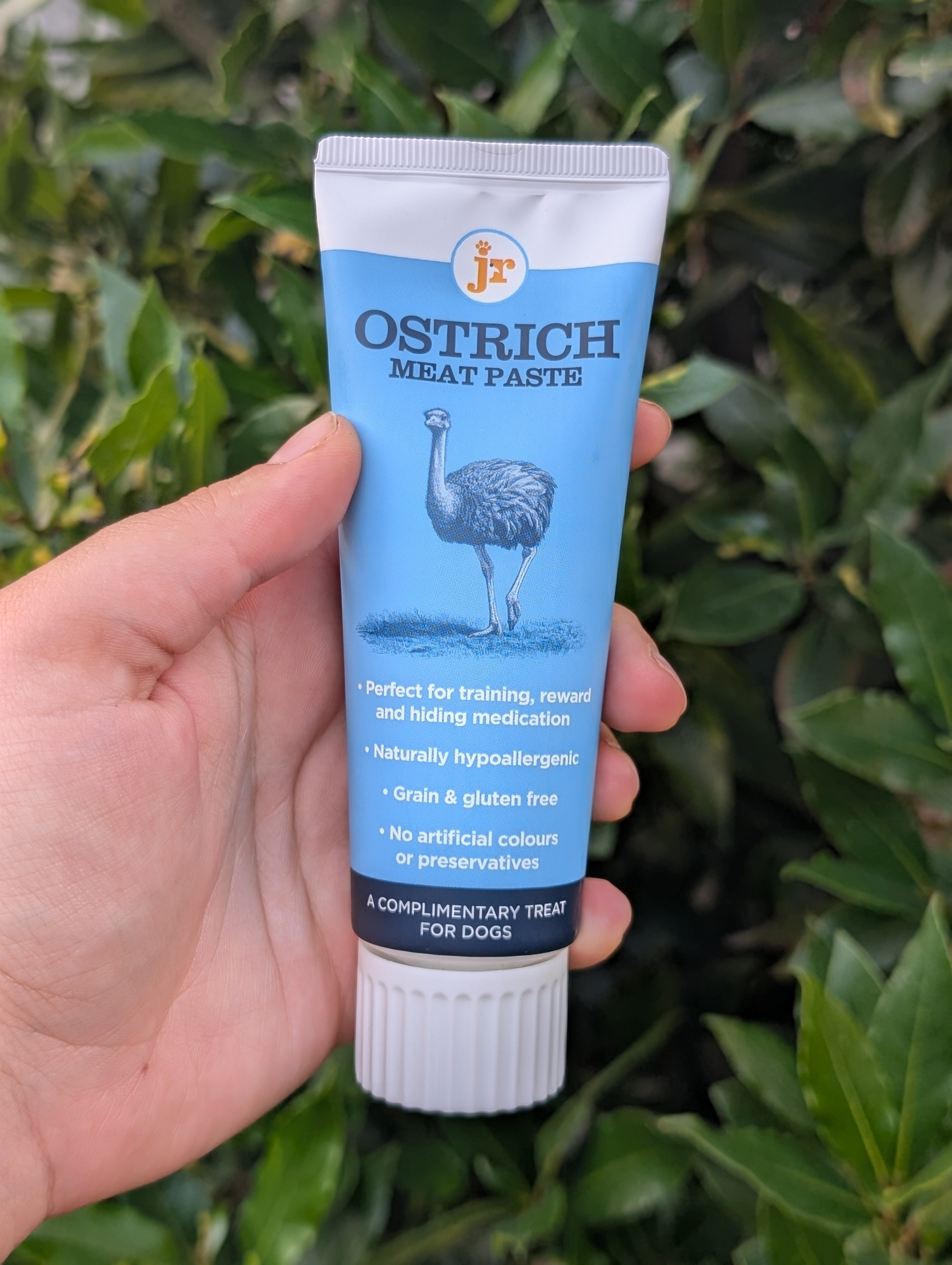 Training Paste