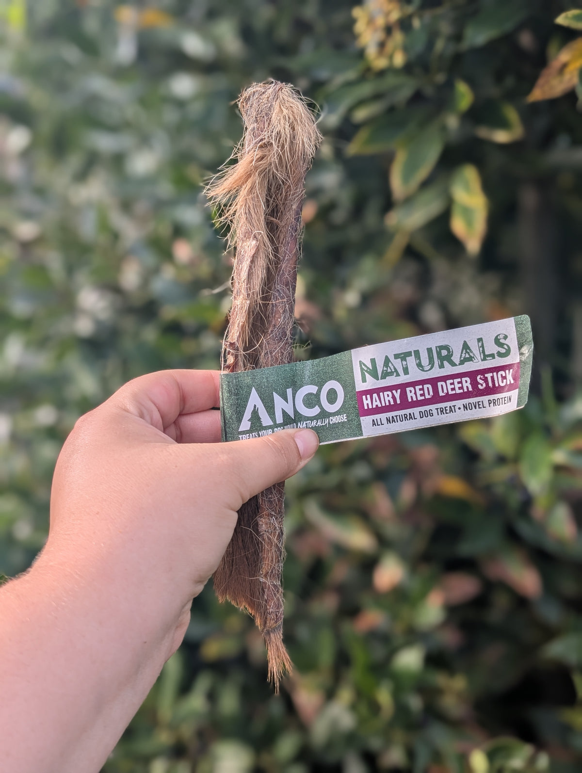 Hairy Venison Skin