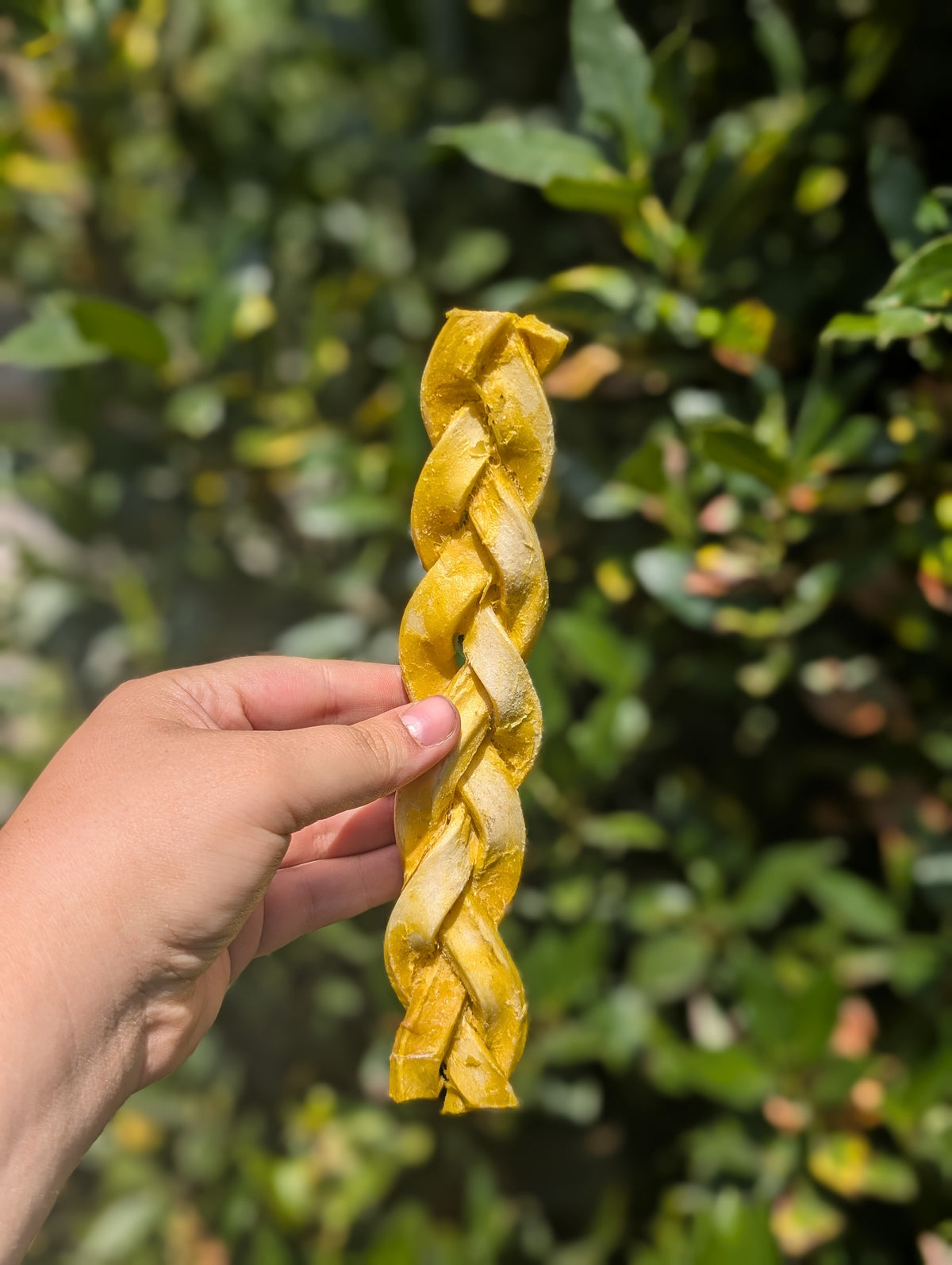Braided skins