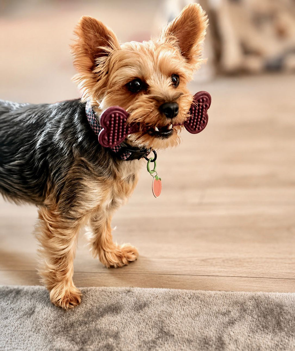 Bobble bones