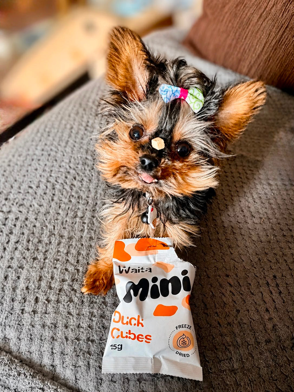 Waita Minis
