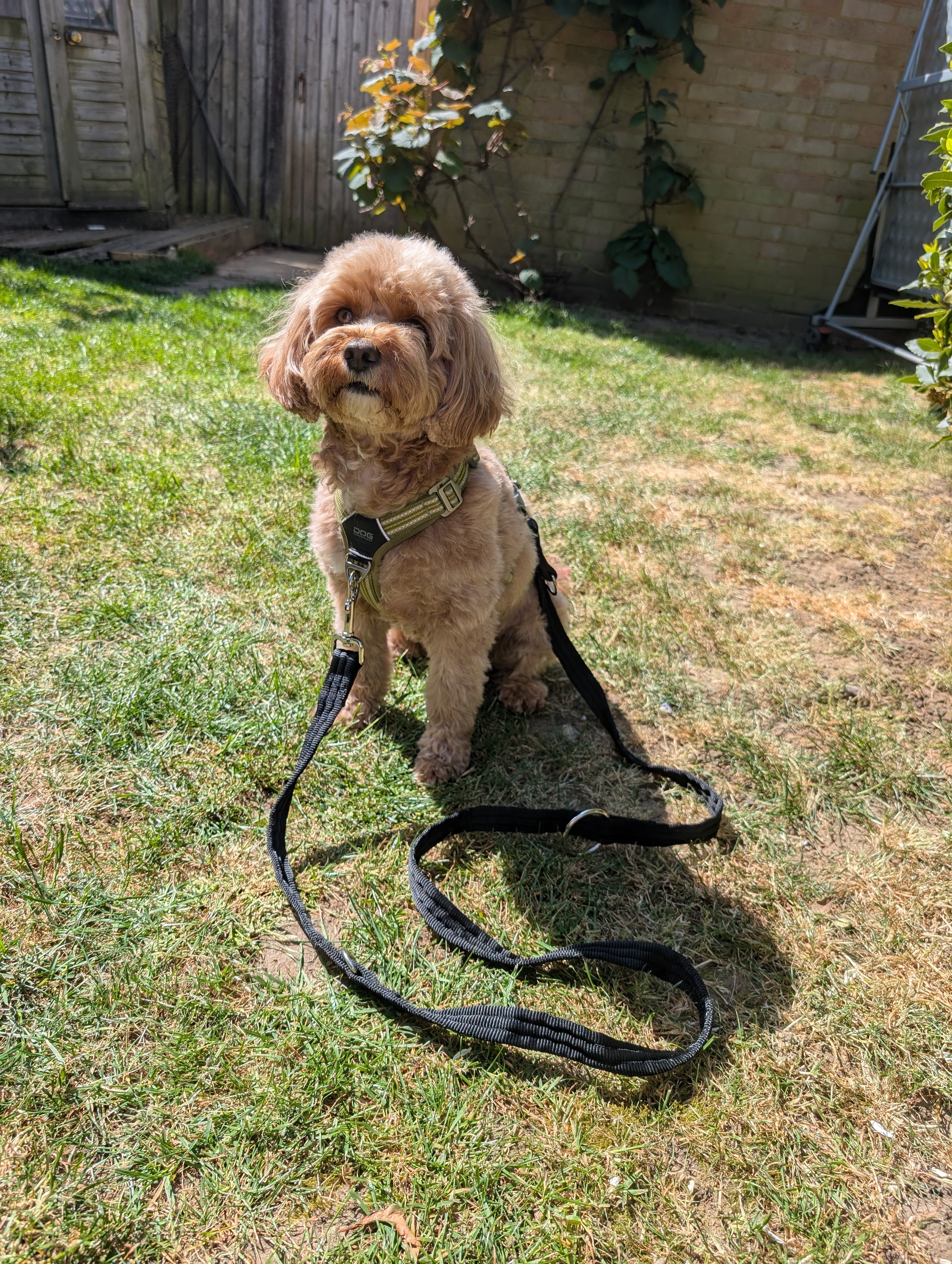 Double ended training lead